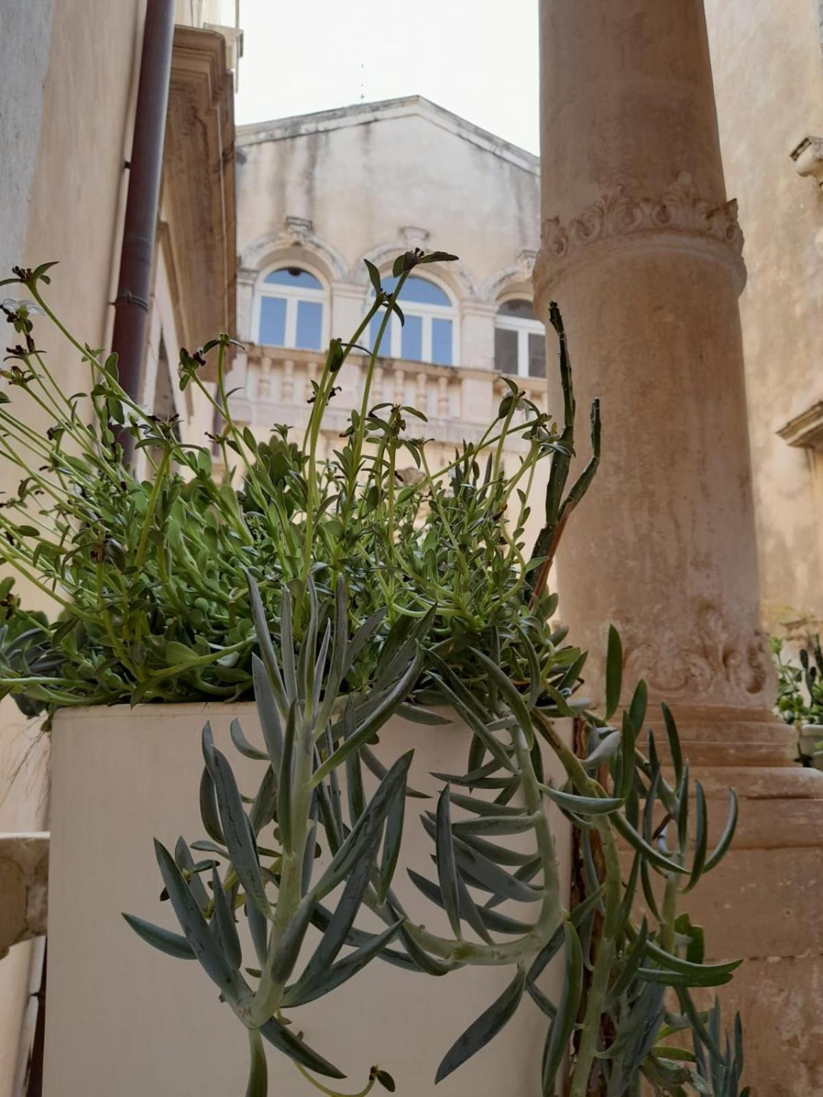 Ortigia Family House