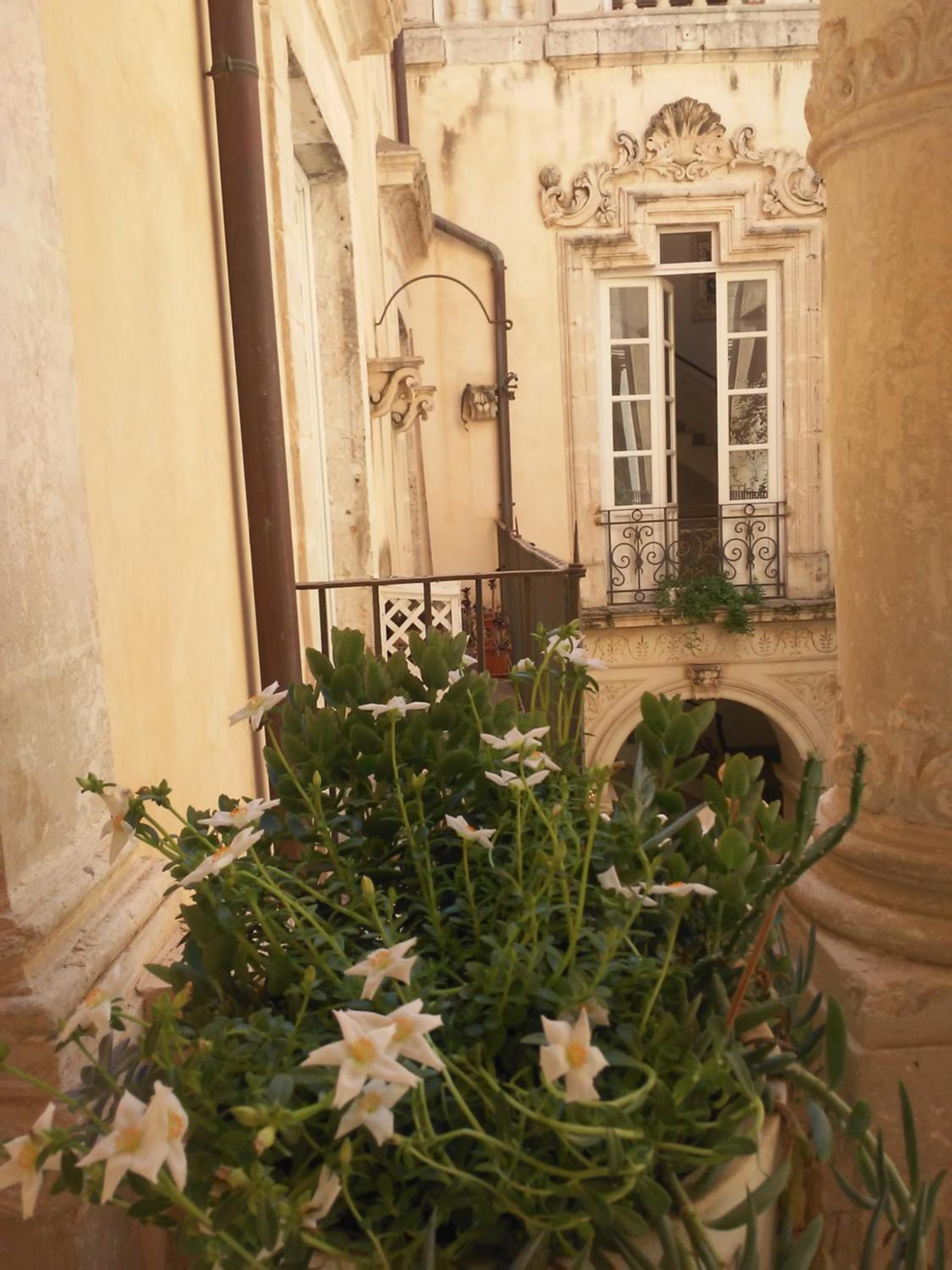 Ortigia Family House