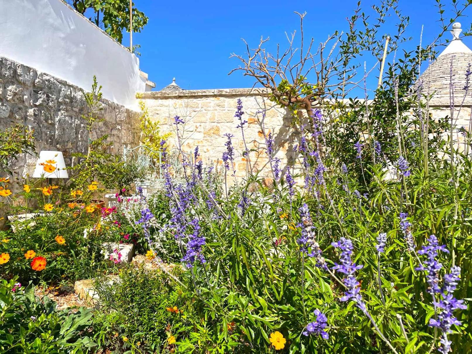 Trullo Aprìco photo 3