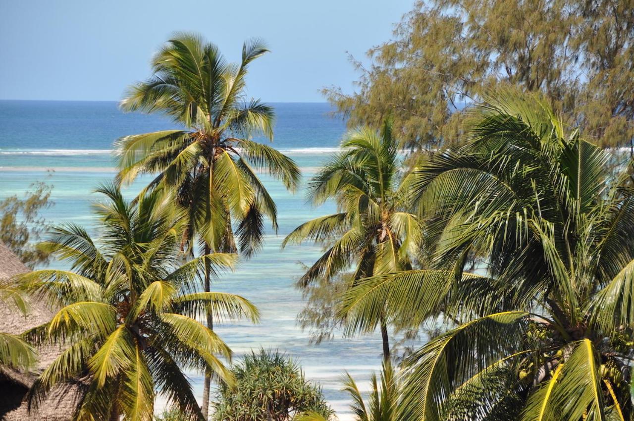Kiwengwa Vacations - Zan View Hotel - Property Image 46