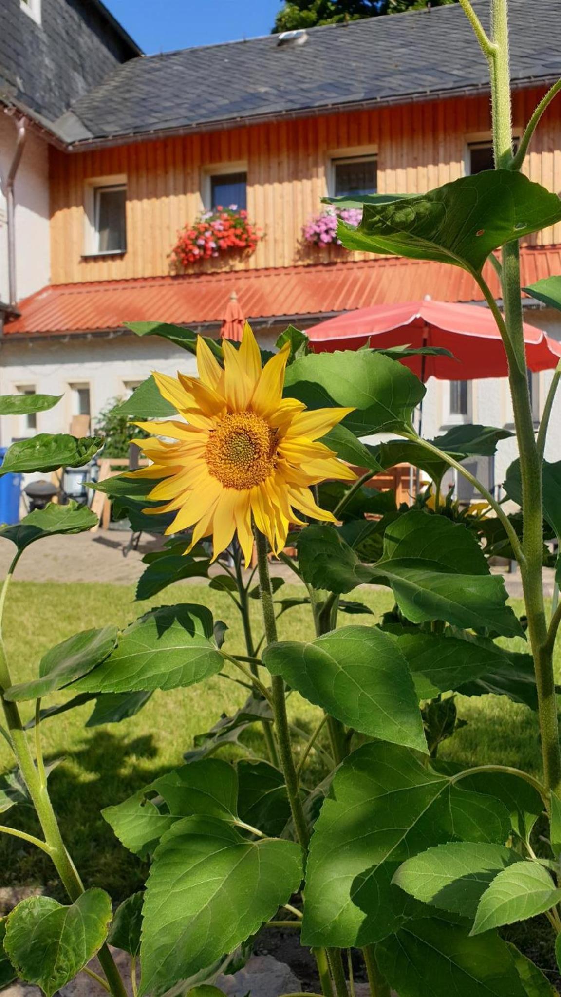 Ferienwohnung am Kammweg