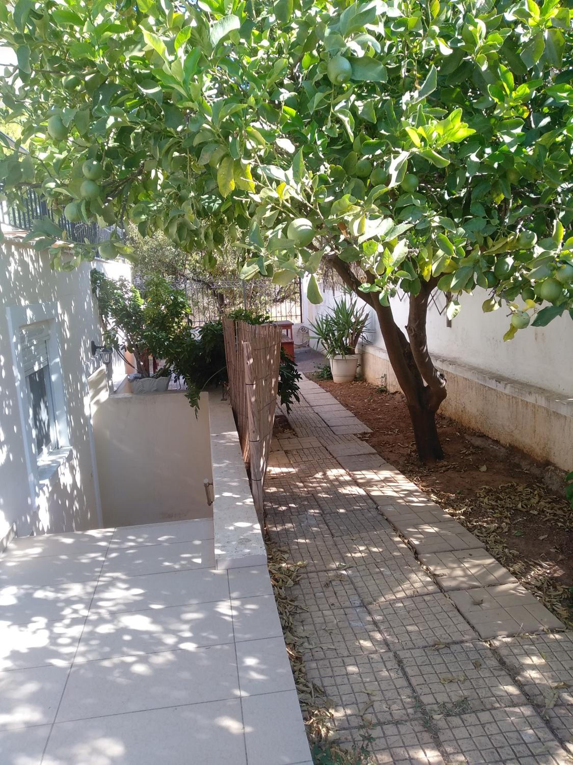 Evelyn's House view 5
