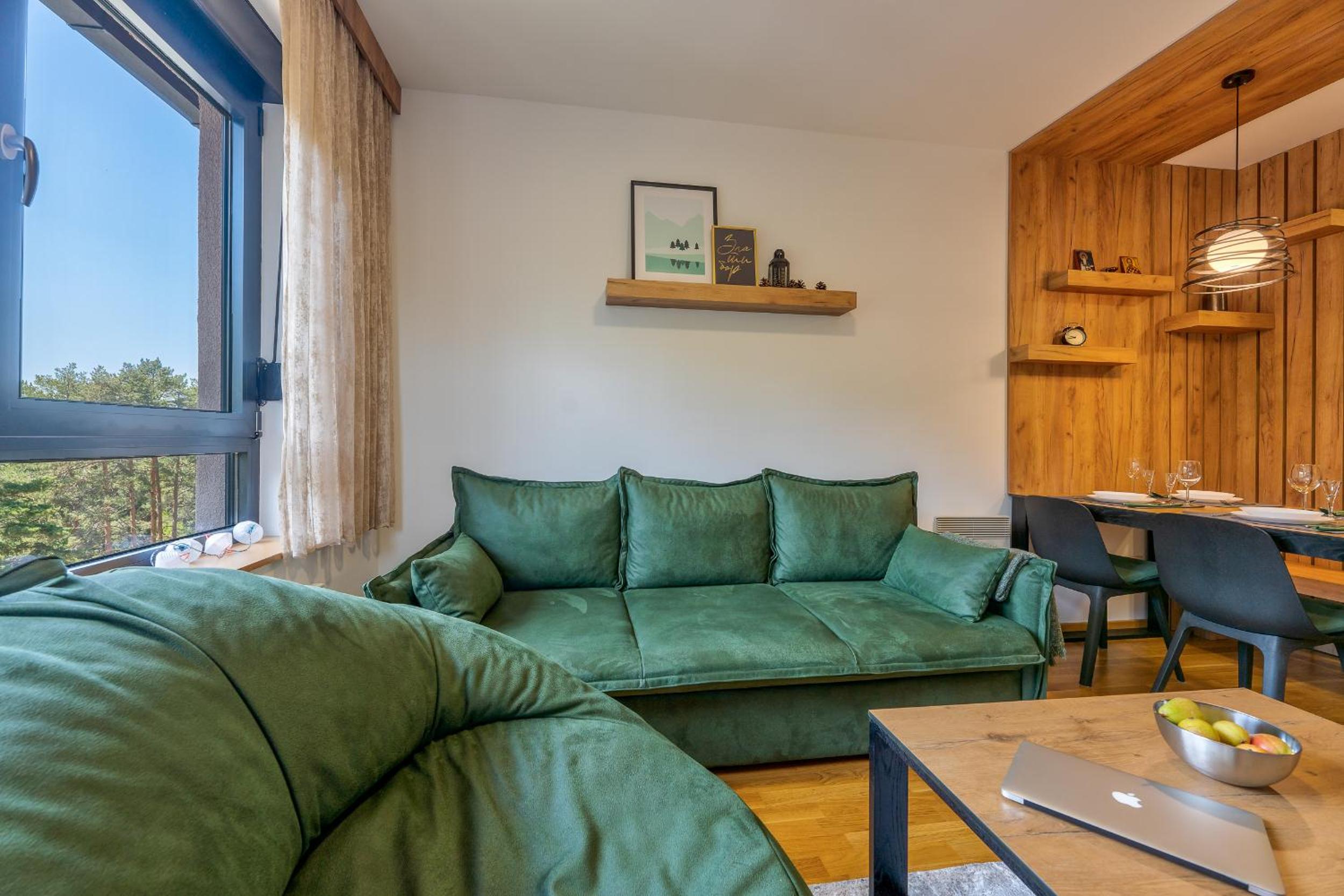 Stevovic Apartment, Pine Wood View, Zlatibor view 4