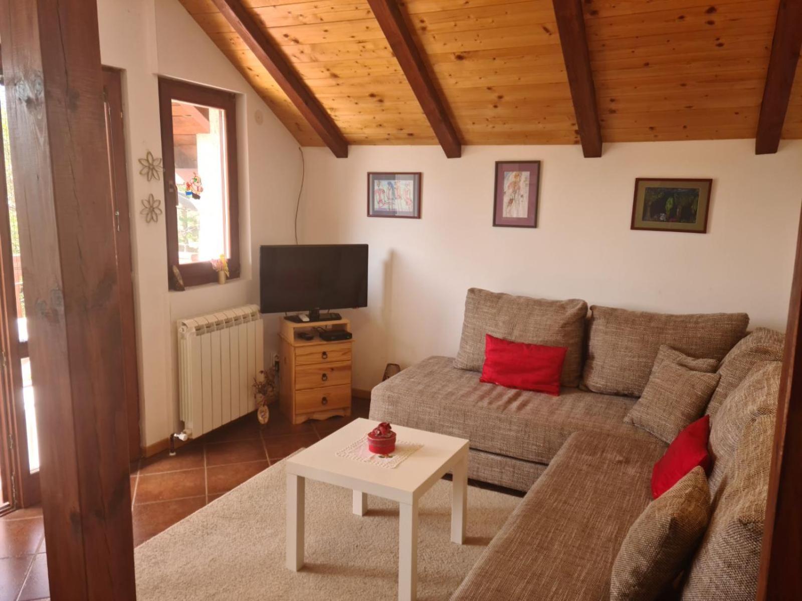 Apartman pogled Zlatibor view 2