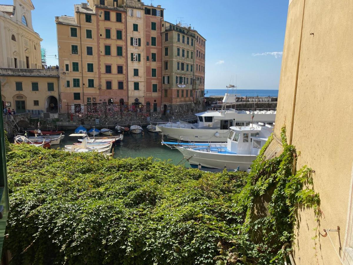 LIGURIA HOLIDAYS - La casetta sul porticciolo photo 3