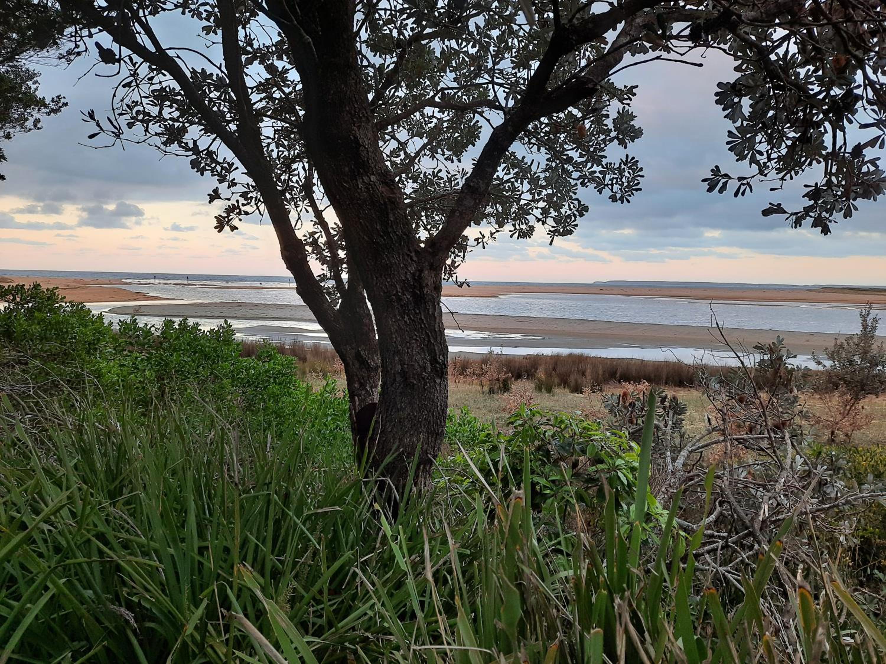 Paradise by the Beach - Culburra beach