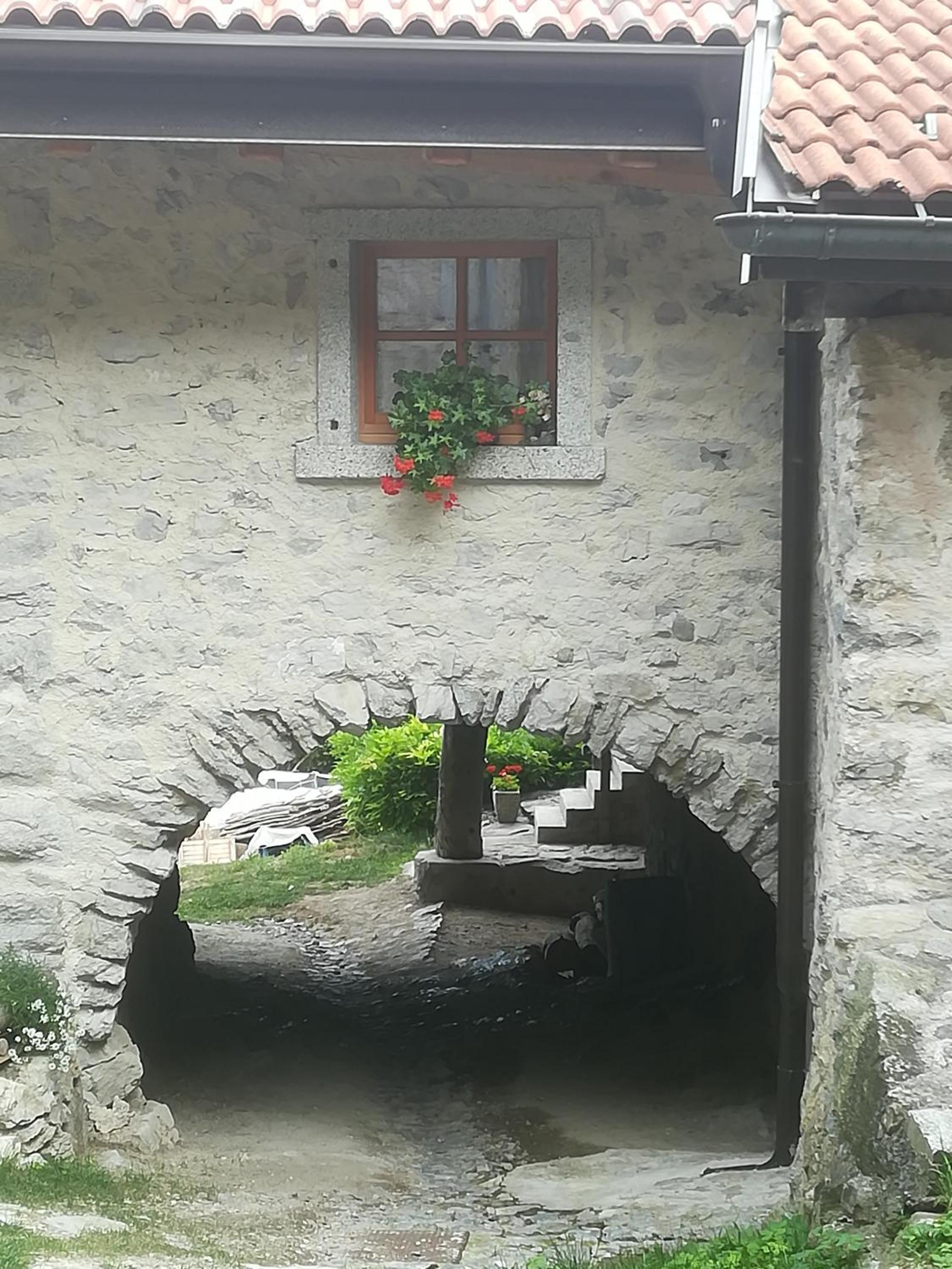 Photo 35