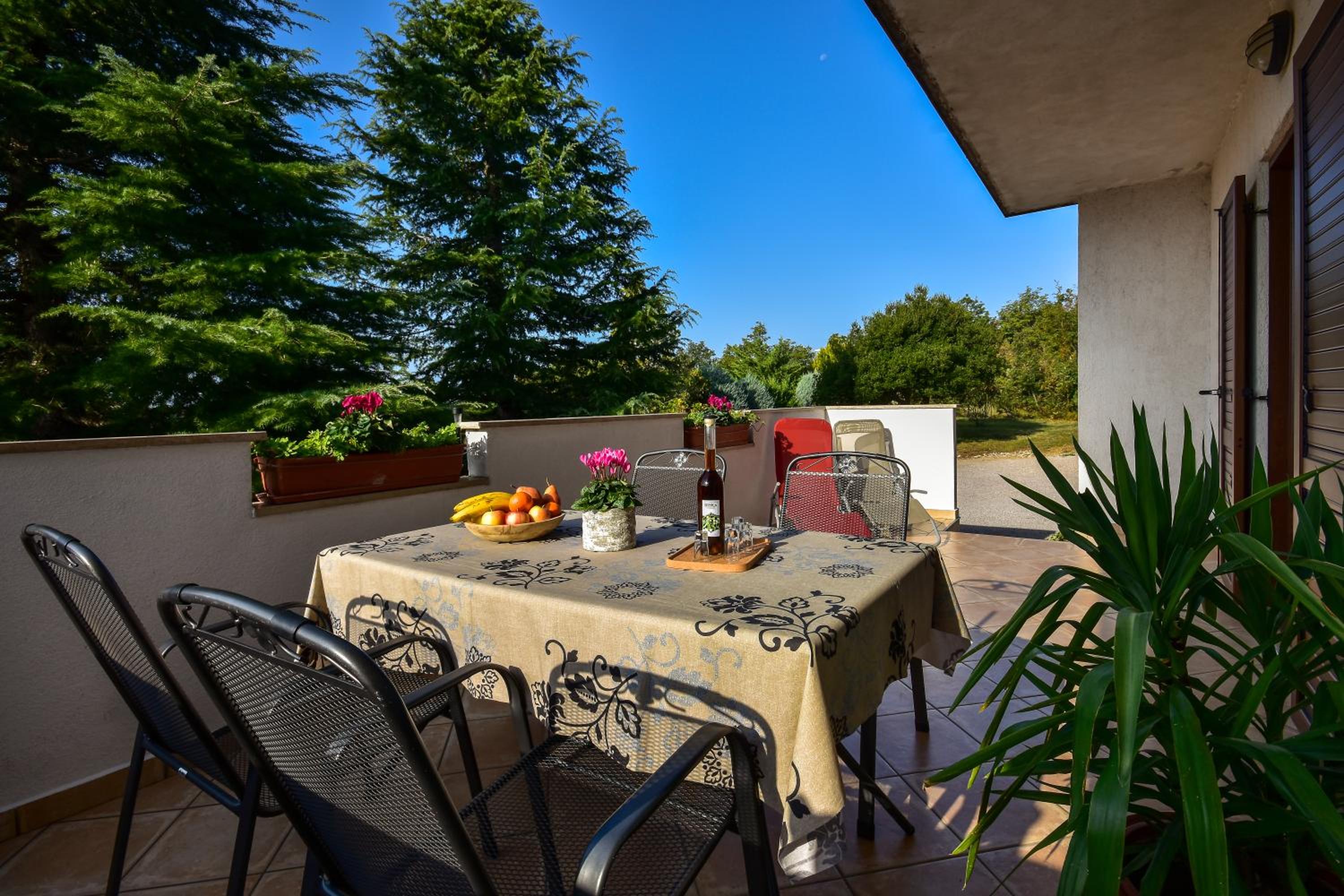 Apartman Grabar view 2