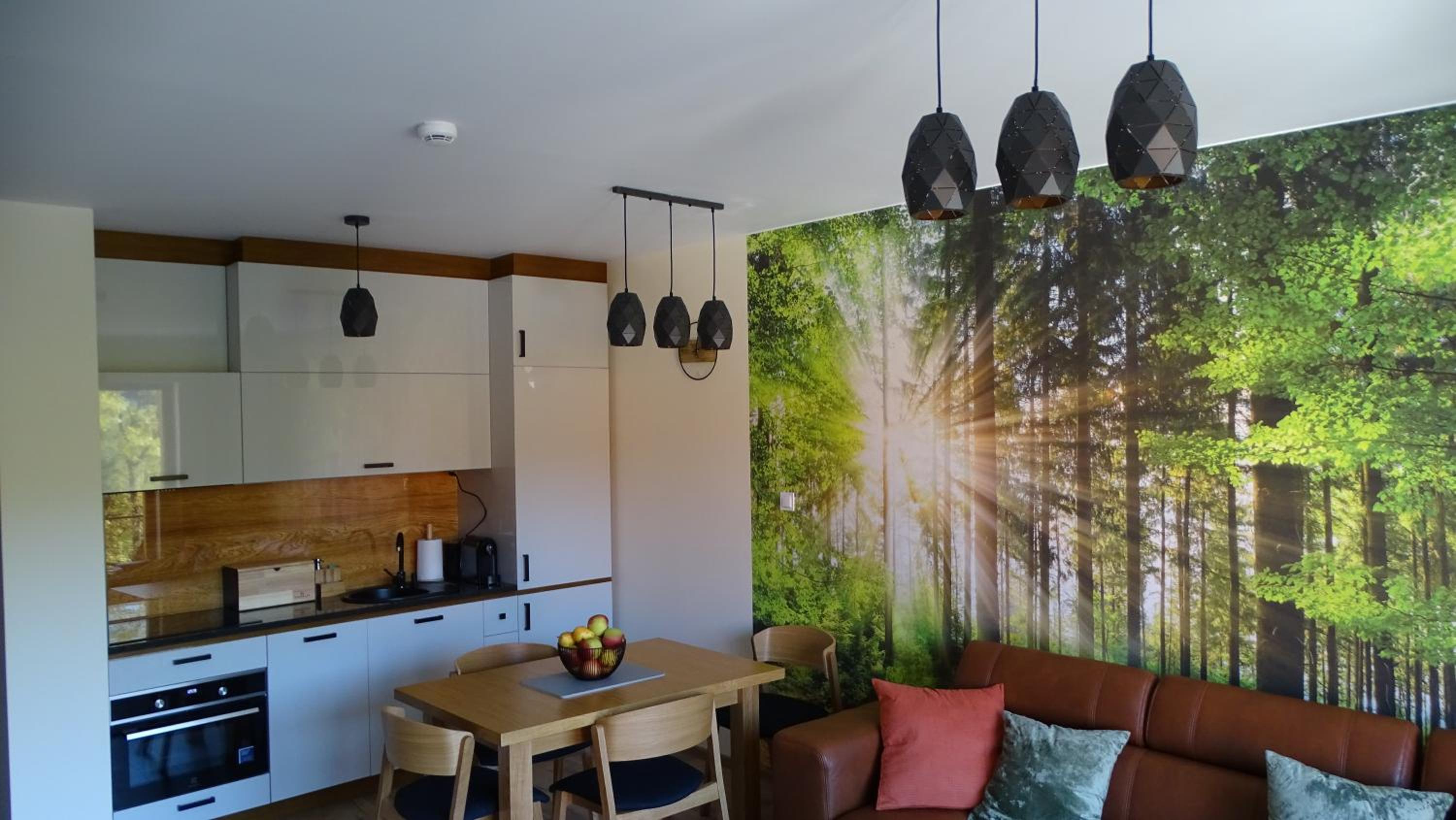 Apartament DeLux 2 view 3