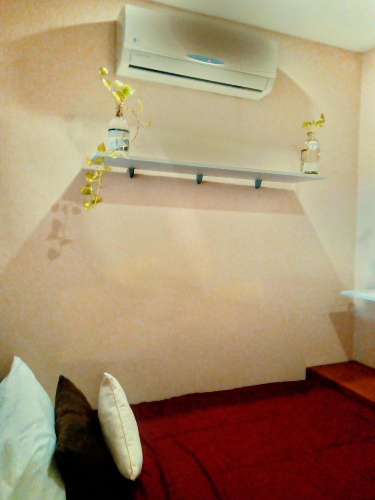 Bed and Breakfast Pecarí
