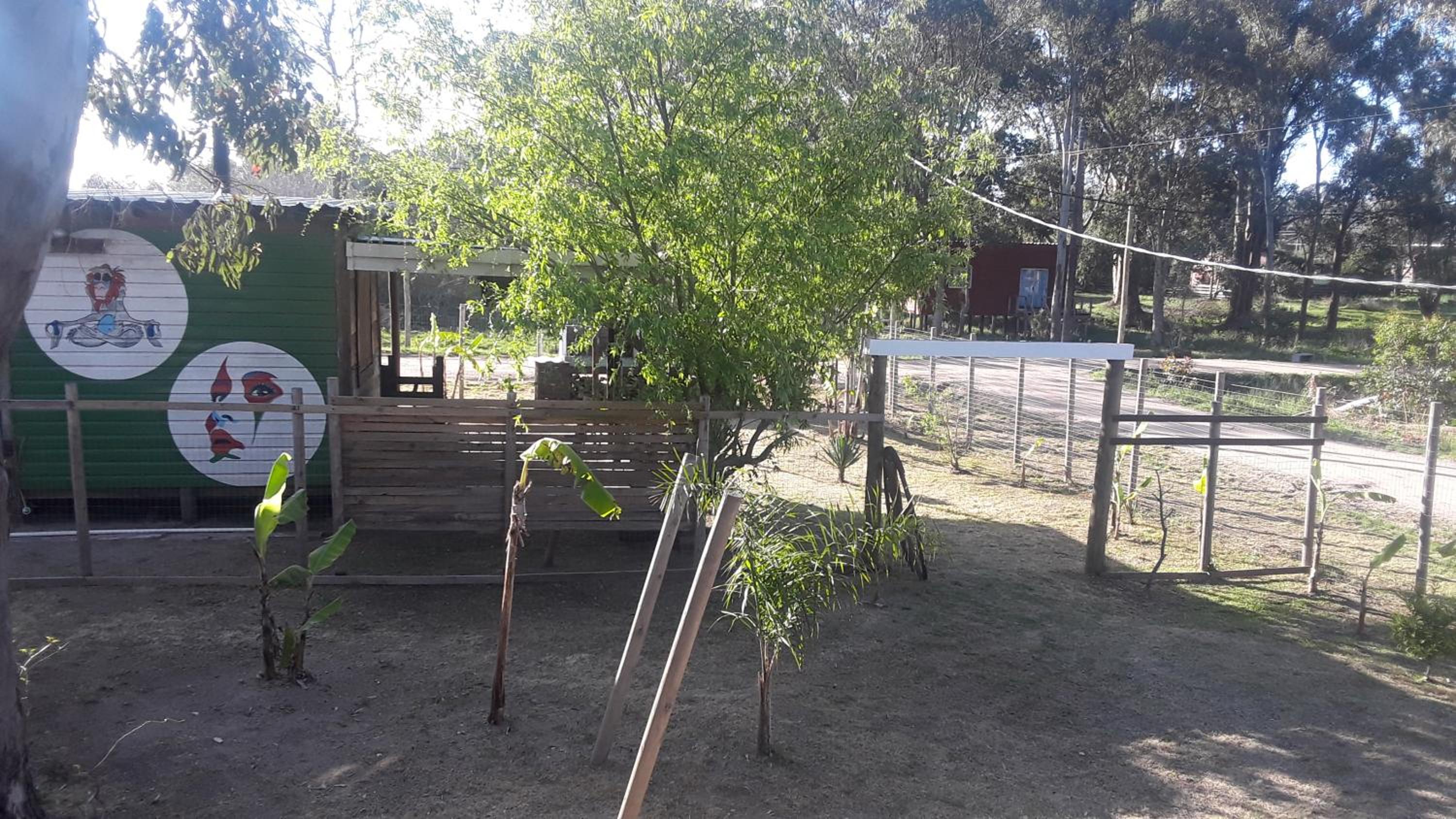 Photo 13