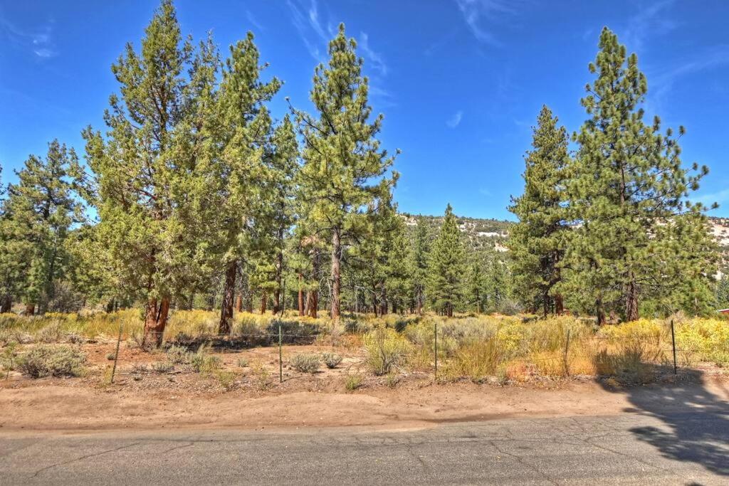 DoorMat Vacation Rentals - Brother Bear Cabin with free WIFI! view 3