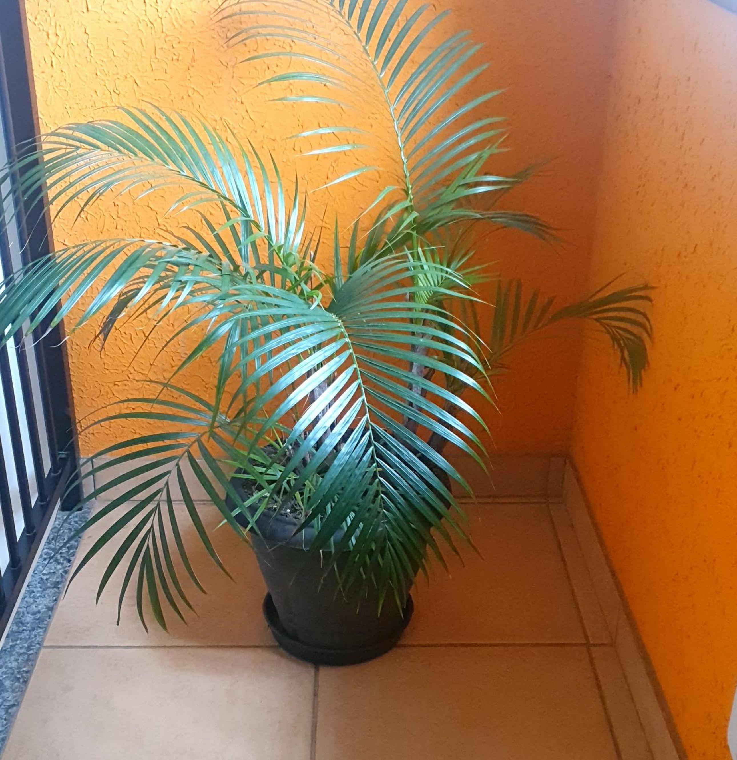 Apartamento Vista da Montanha