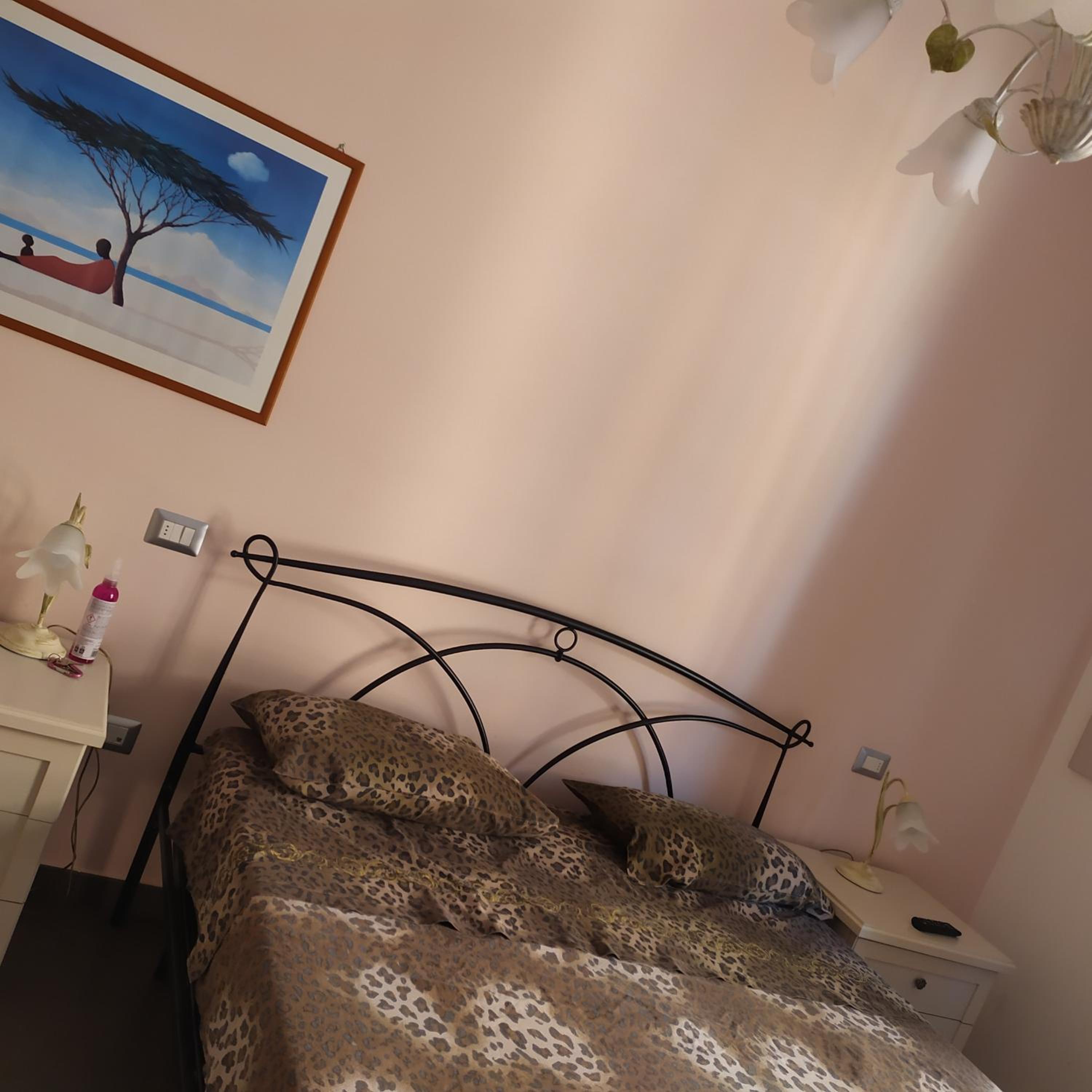 Photo 37