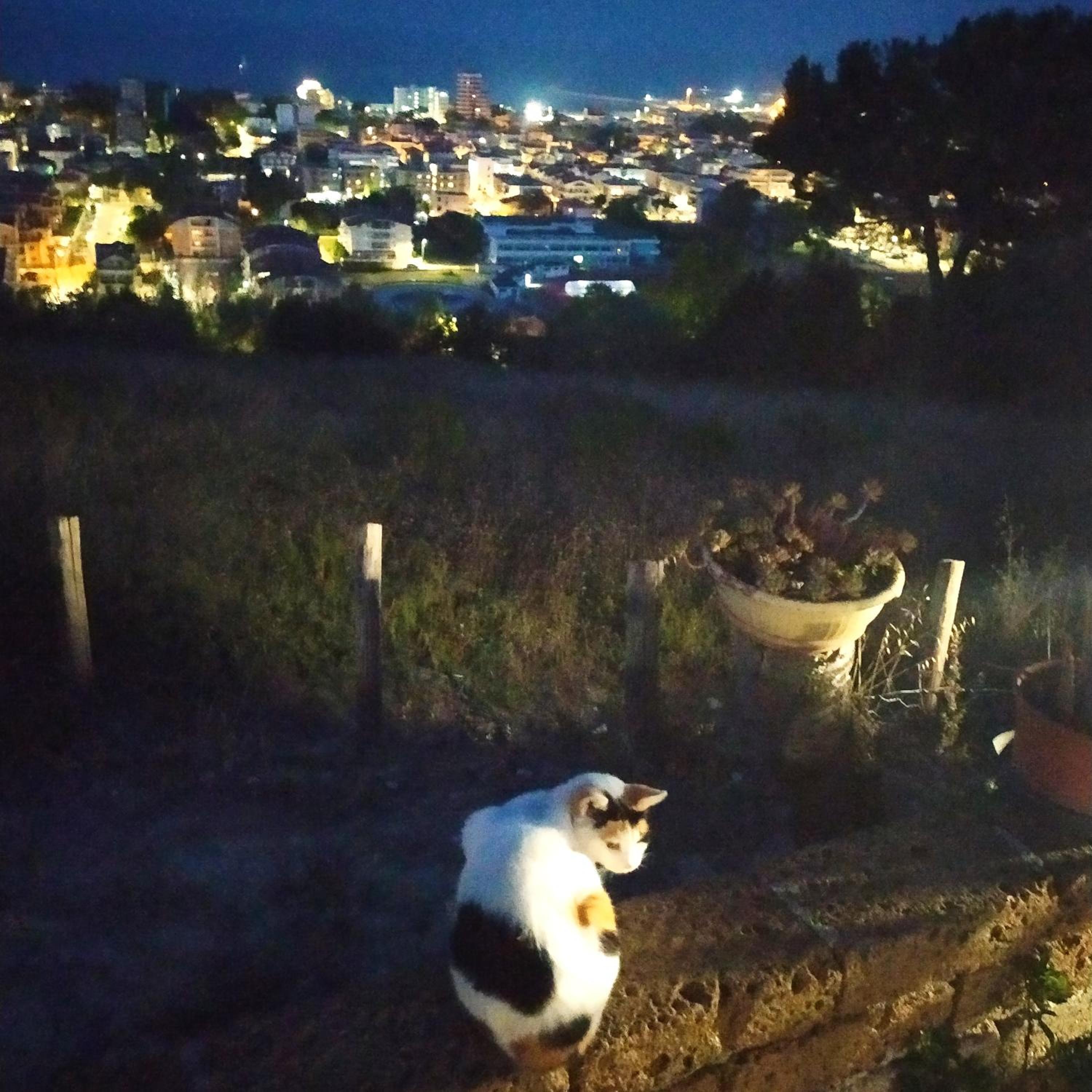 Terrazza sul Mare view 5
