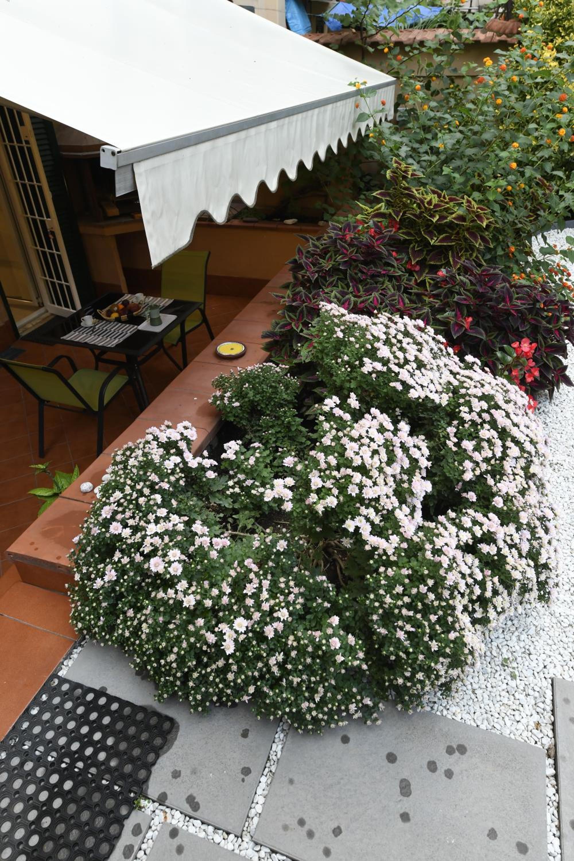 Il giardino nascosto