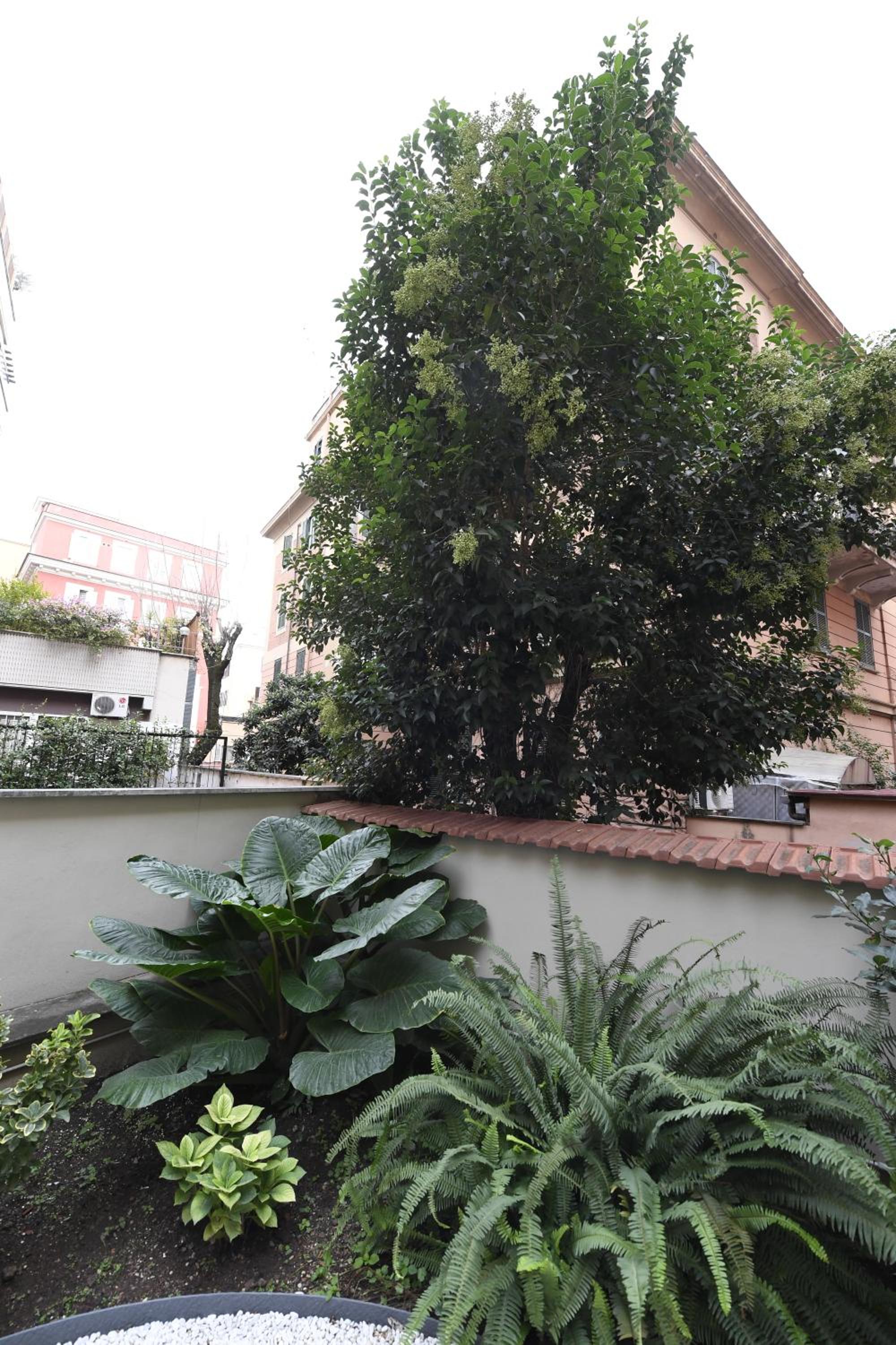 Il giardino nascosto