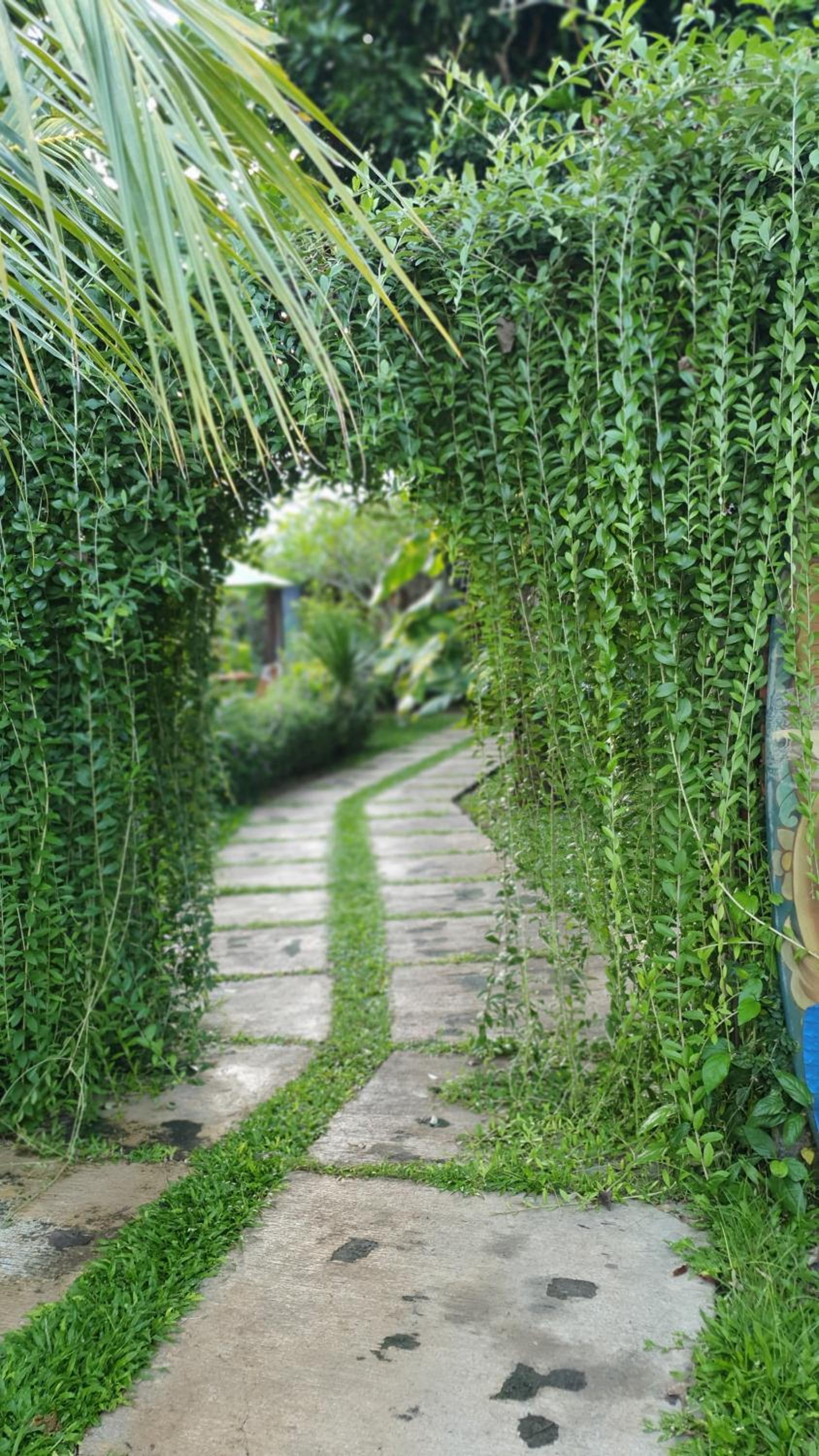 Timbis Homestay Bali