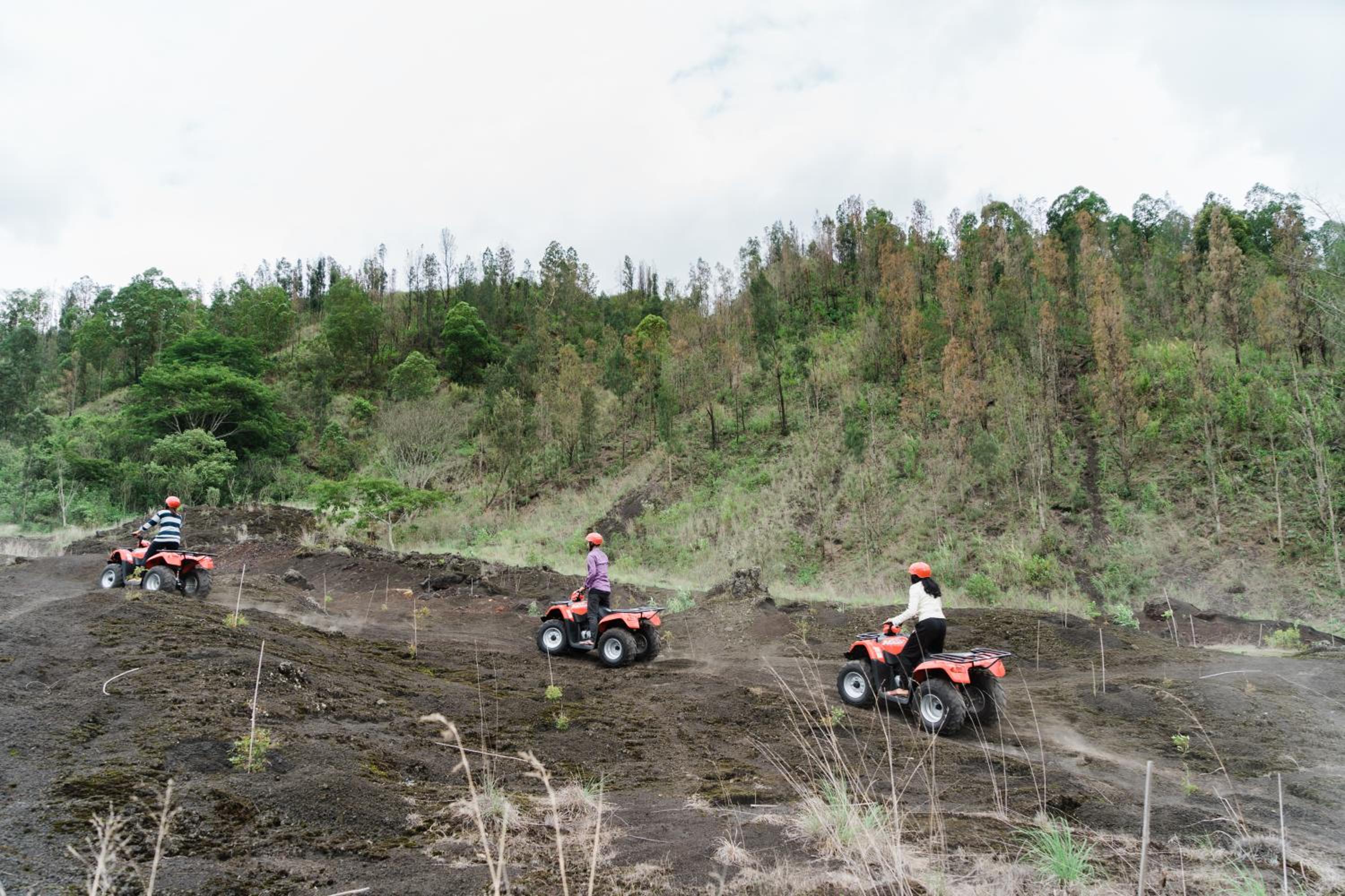 Latengaya Mount Batur View Bungalow