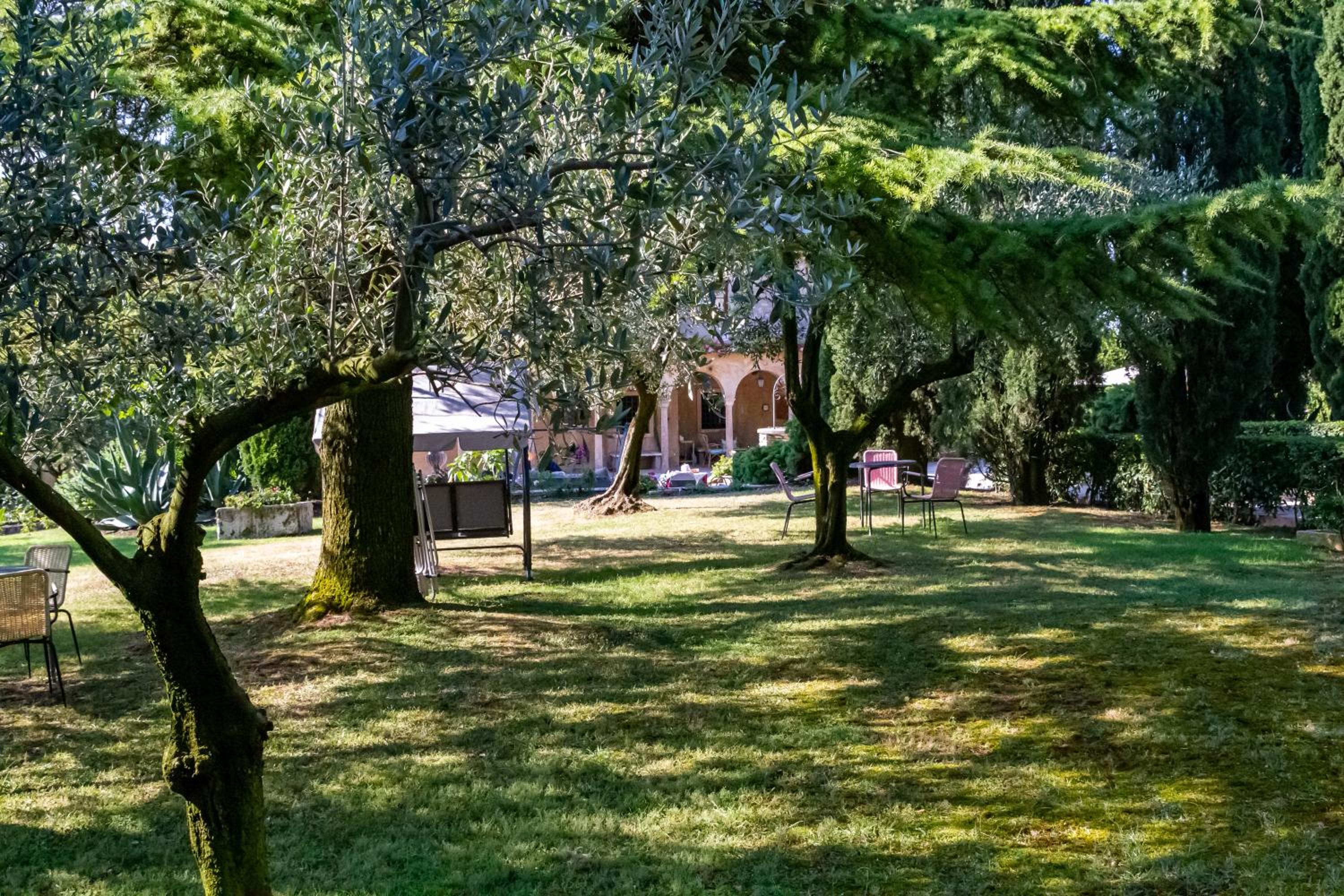Photo 42