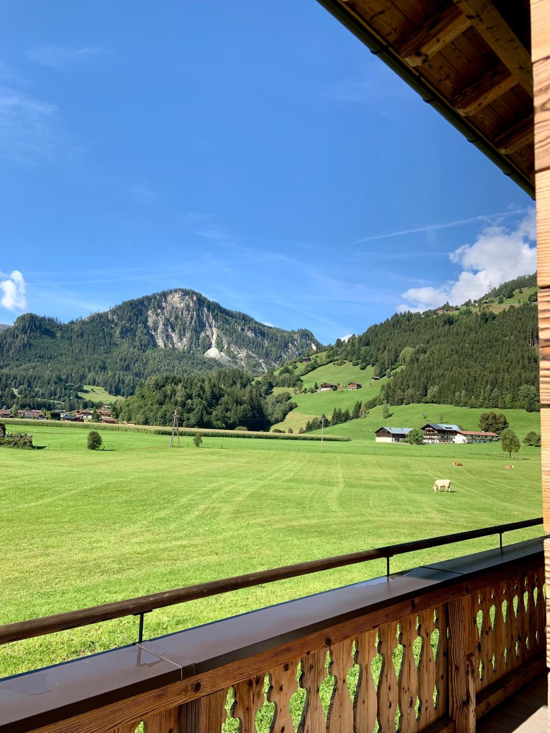 Ferienwohnung Lerchenhof