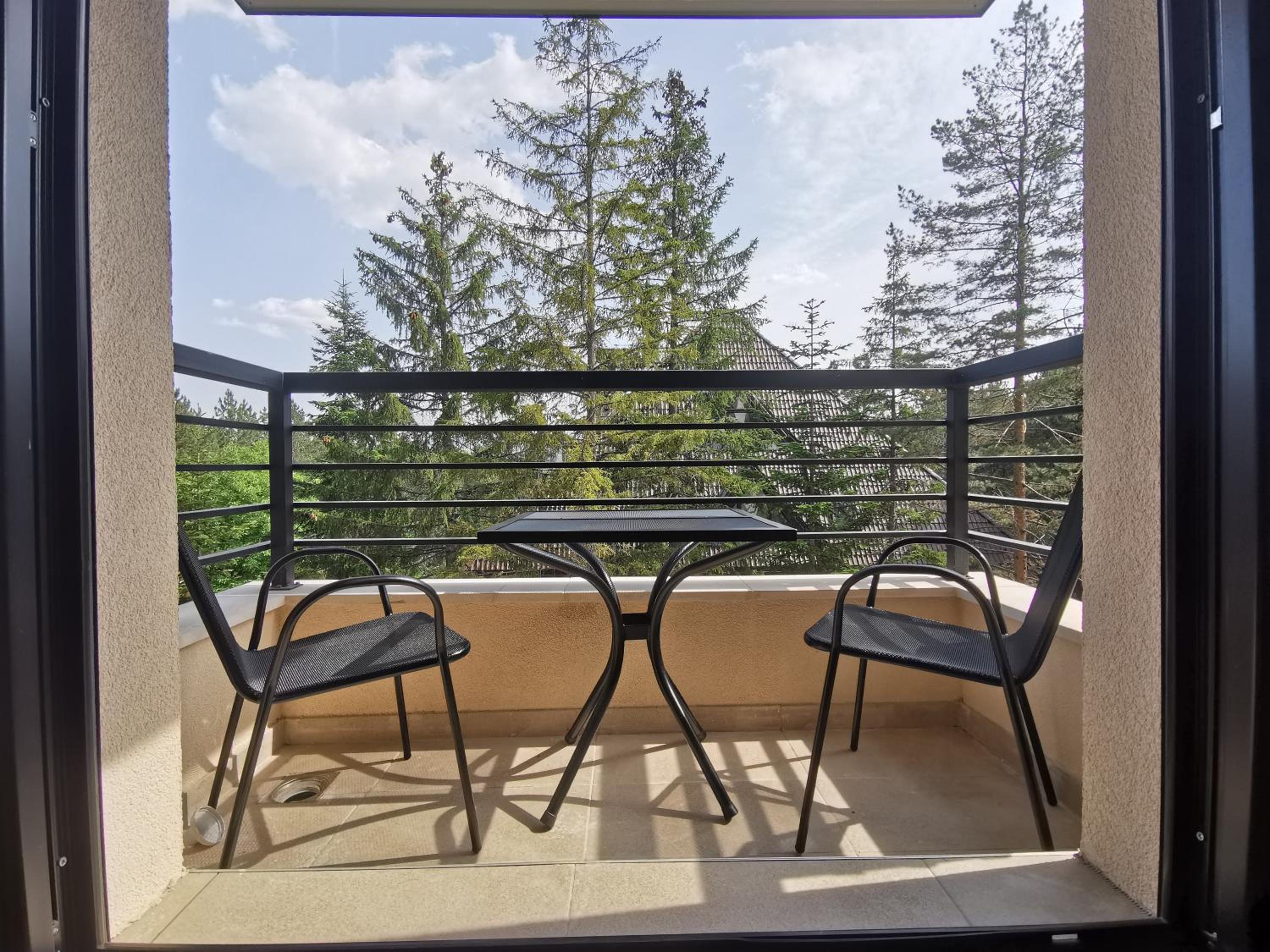 Apartman Jevtic Zlatibor view 2