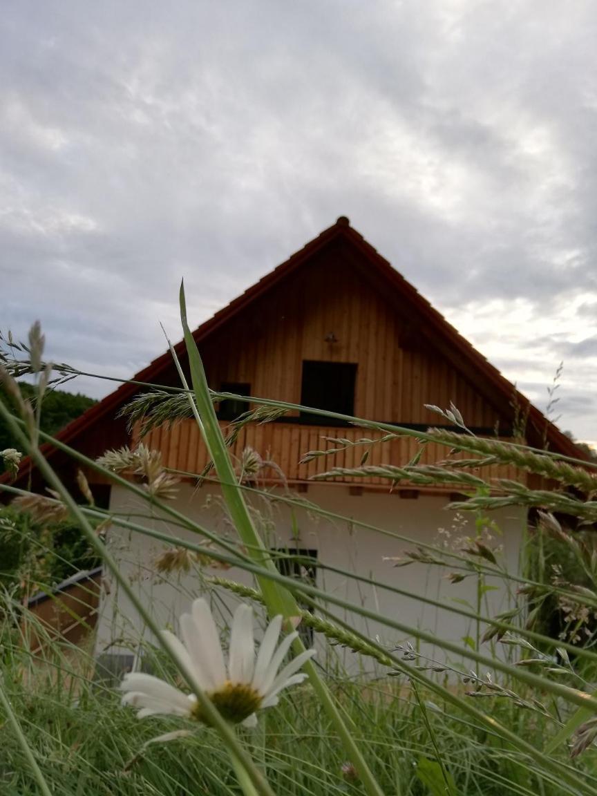 Bioferienhaus Muster - Dominkusch