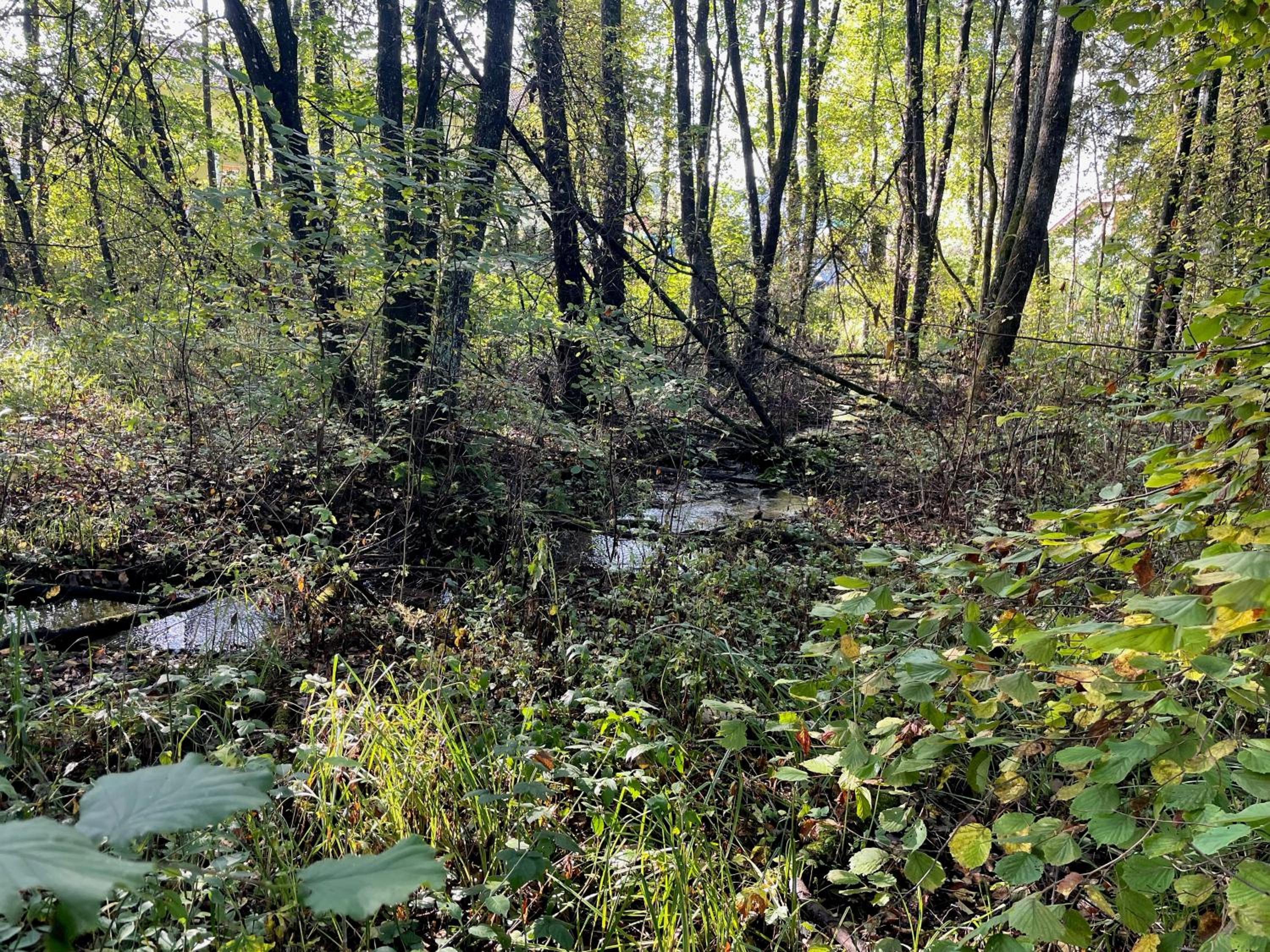 Photo 22