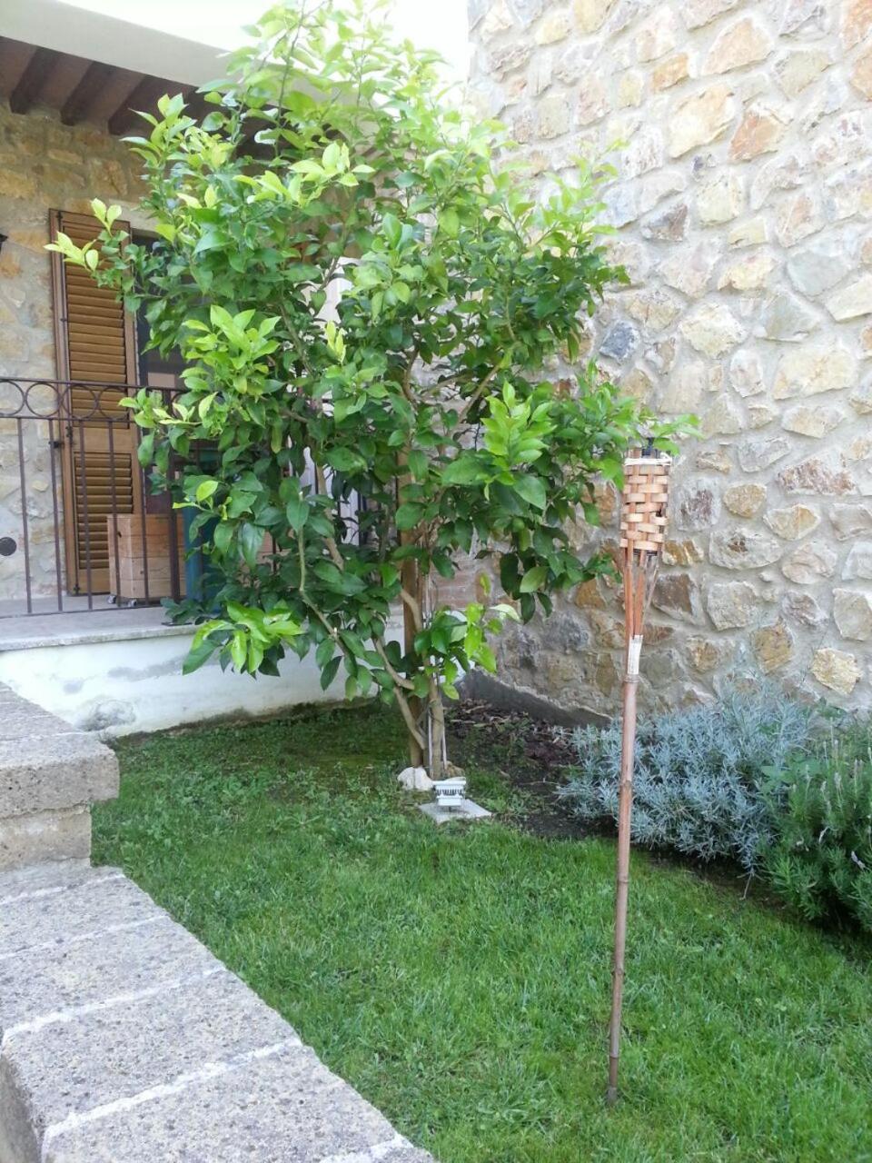 Il Poggio da Leo view 3