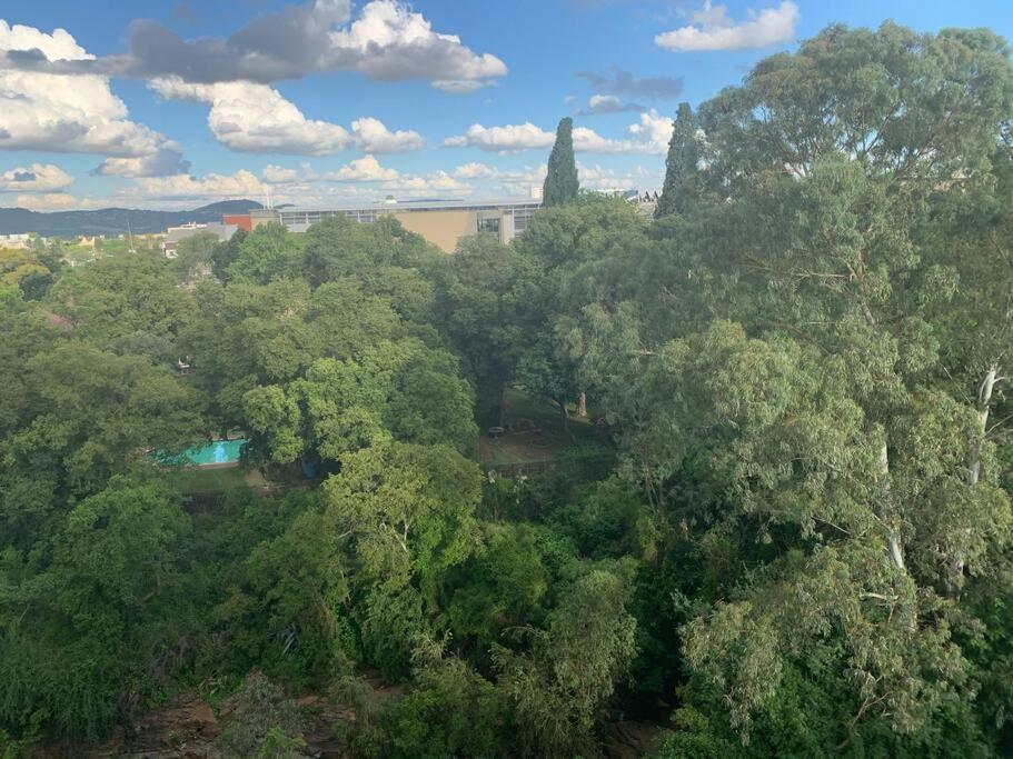 Menlyn hub apartment living with a view on nature