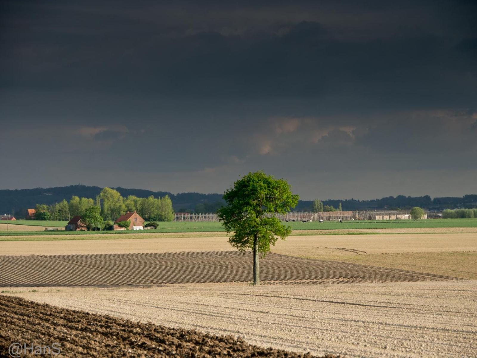 't Hofsteedje Watou