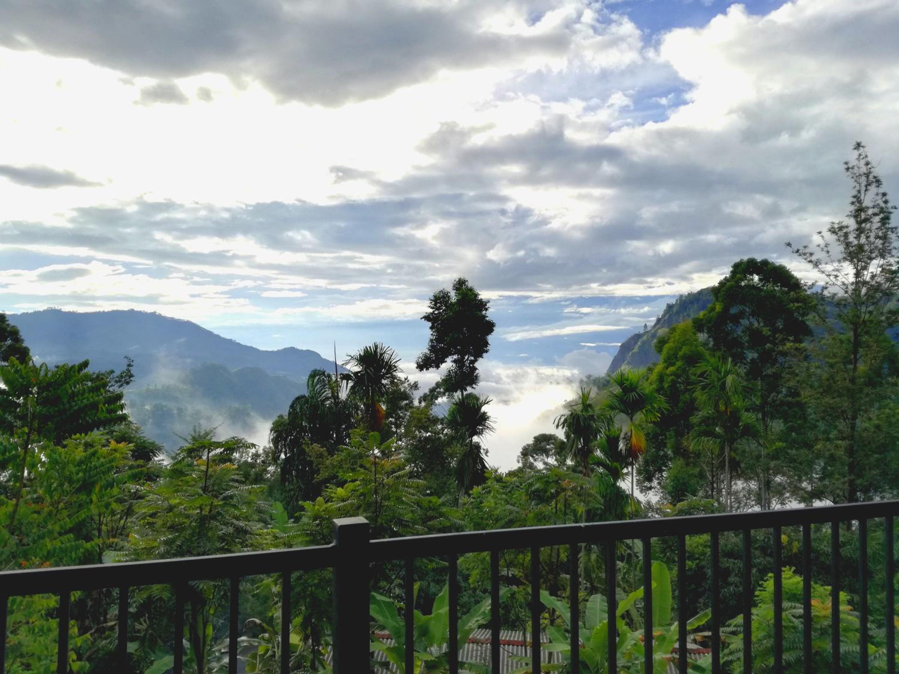 Pearl View Guesthouse