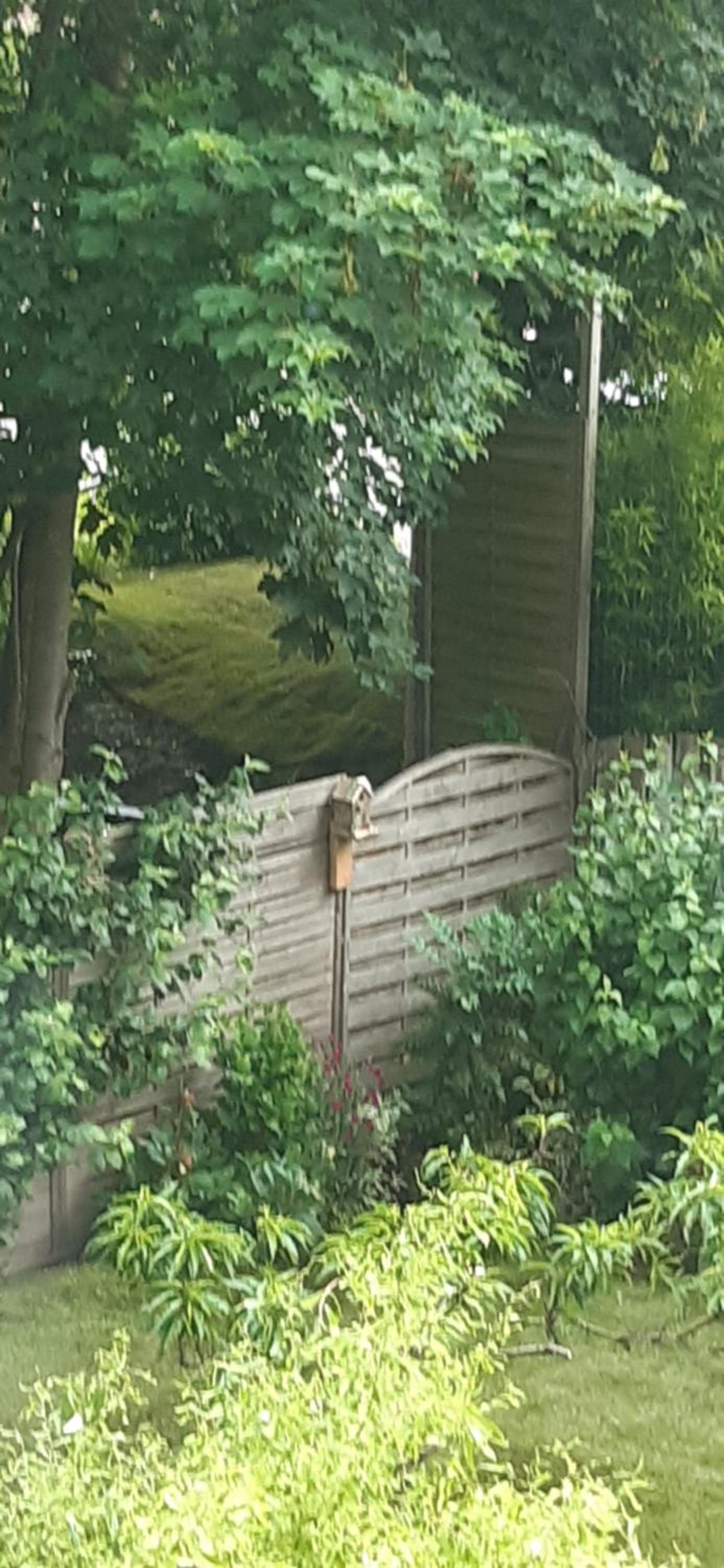 LA P'TITE MAISON