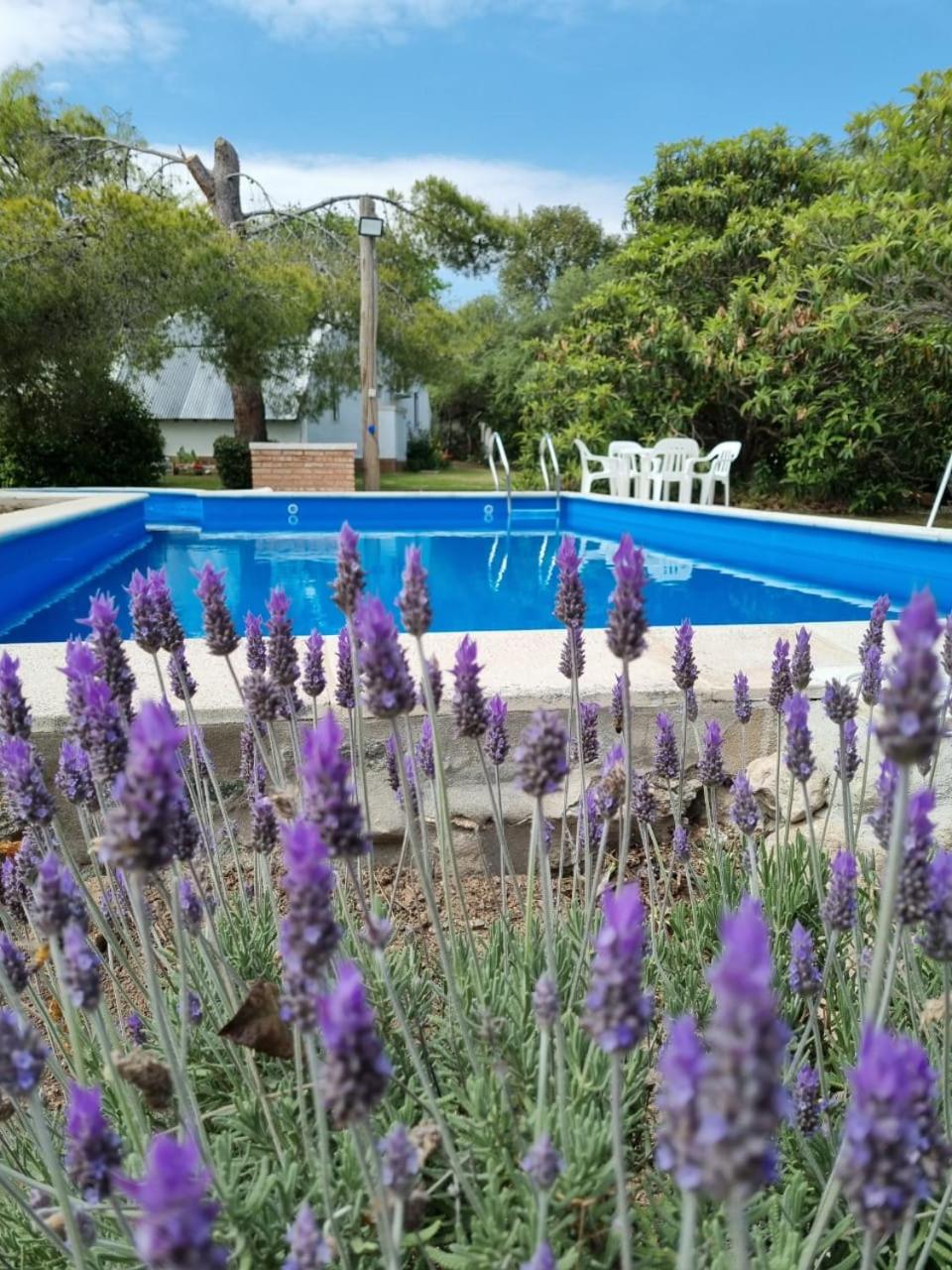 Cabanias El Aguaribay