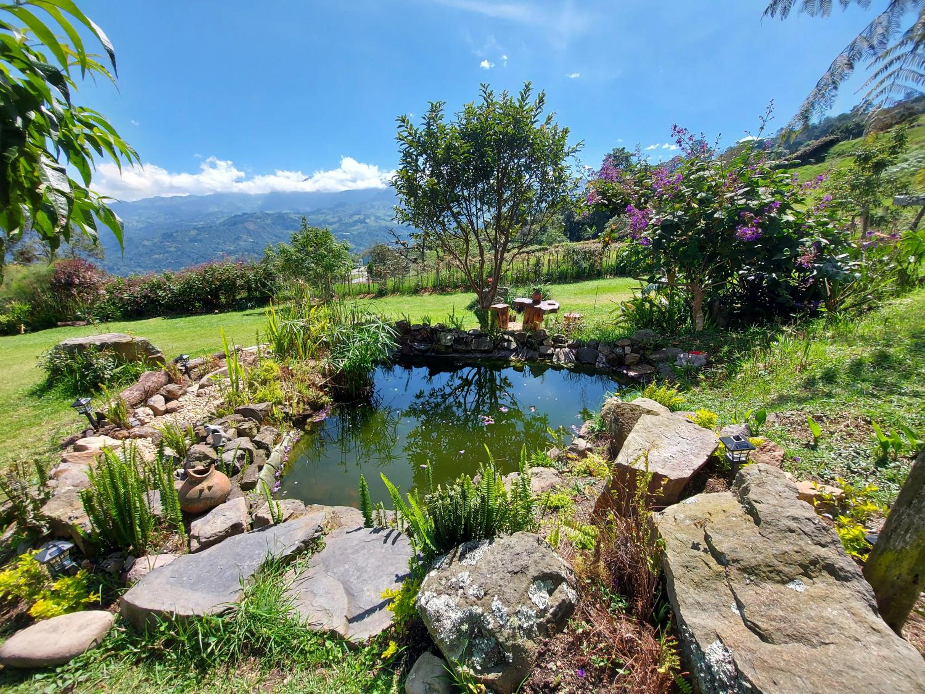 Naturaleza en armonia