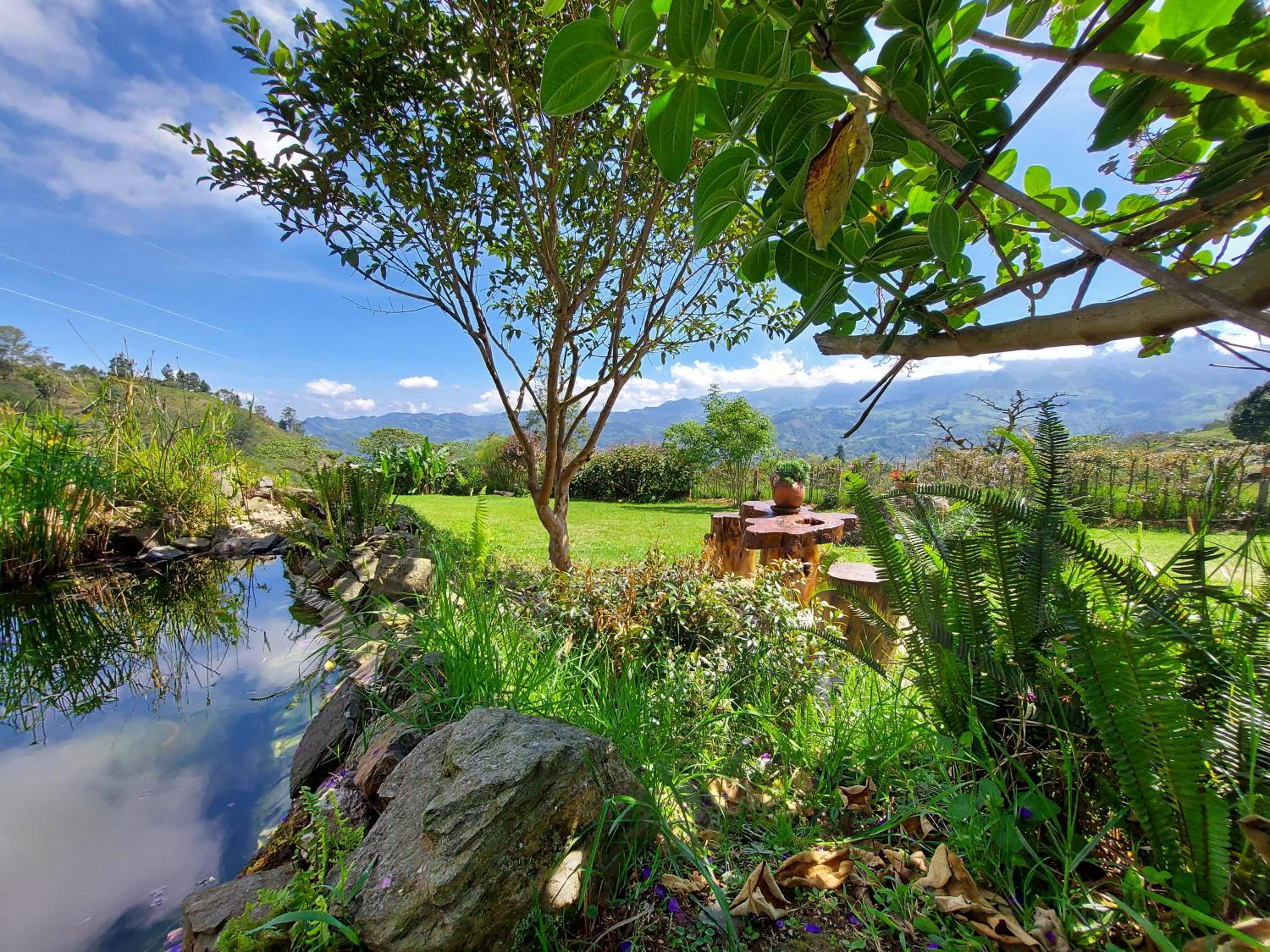 Naturaleza en armonia