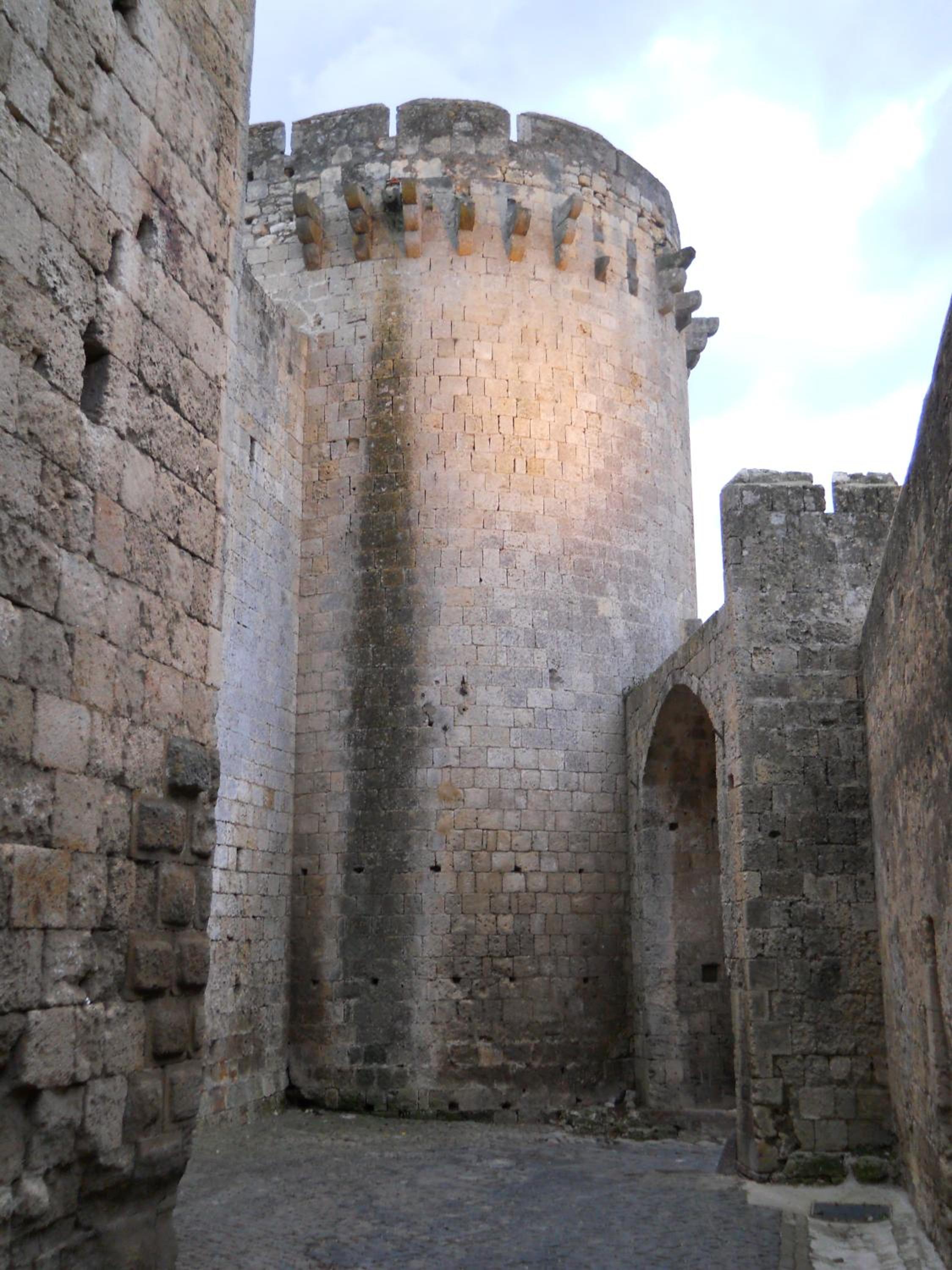 Photo 46