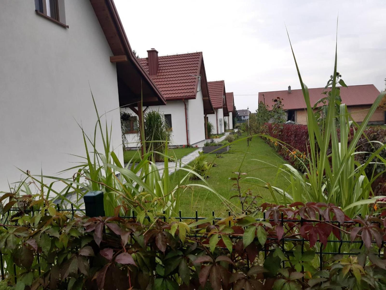 Photo 35