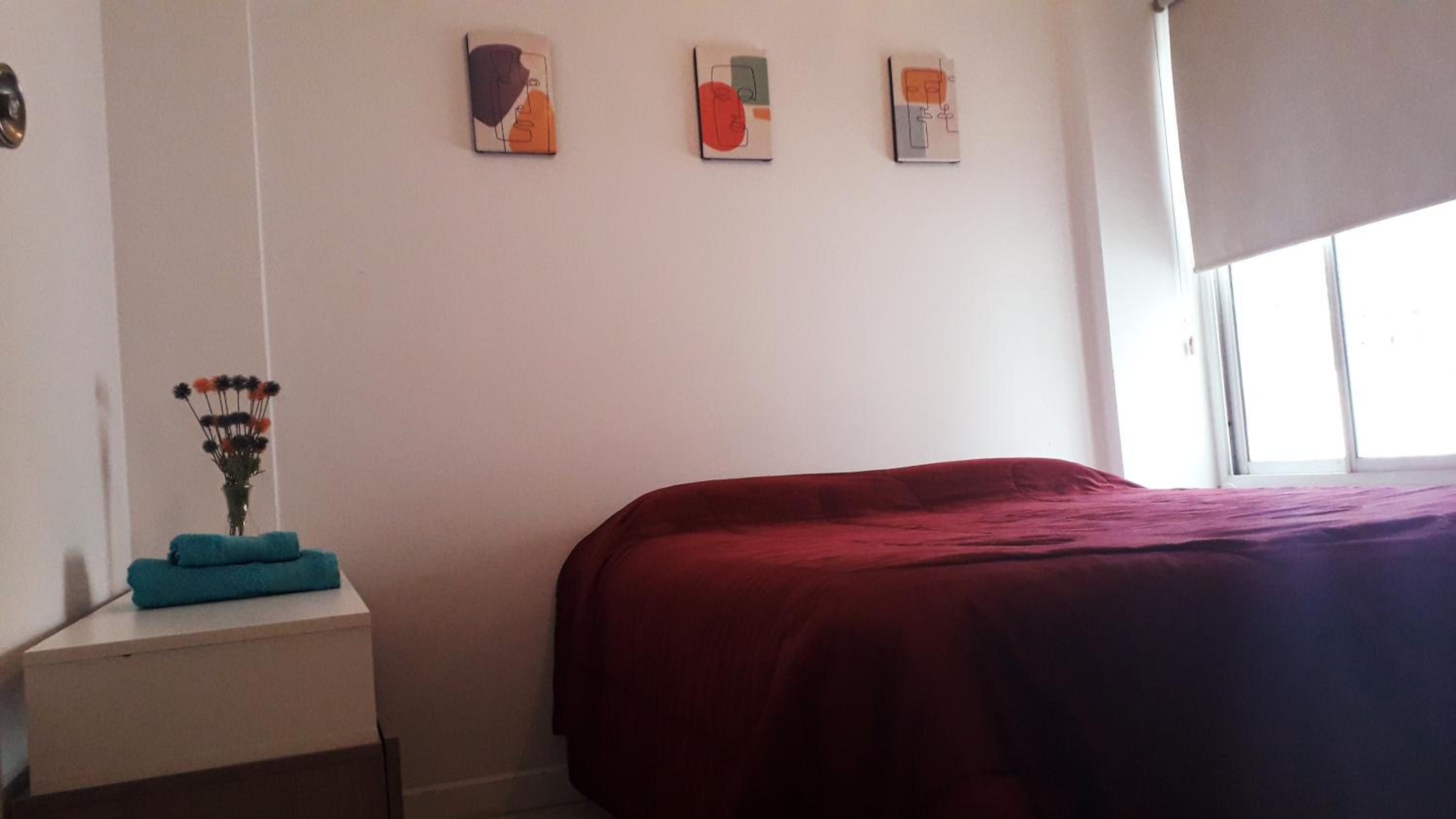 Departamento Altos Mendoza Presidente Mitre