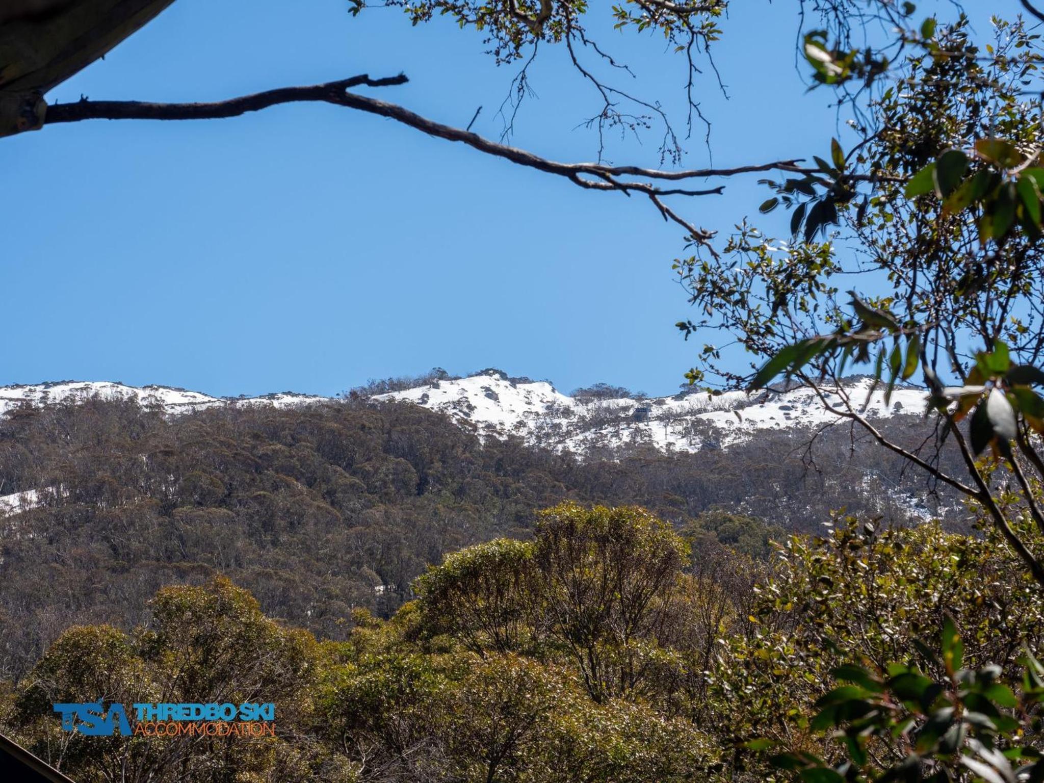 Mosswood 2 view 4
