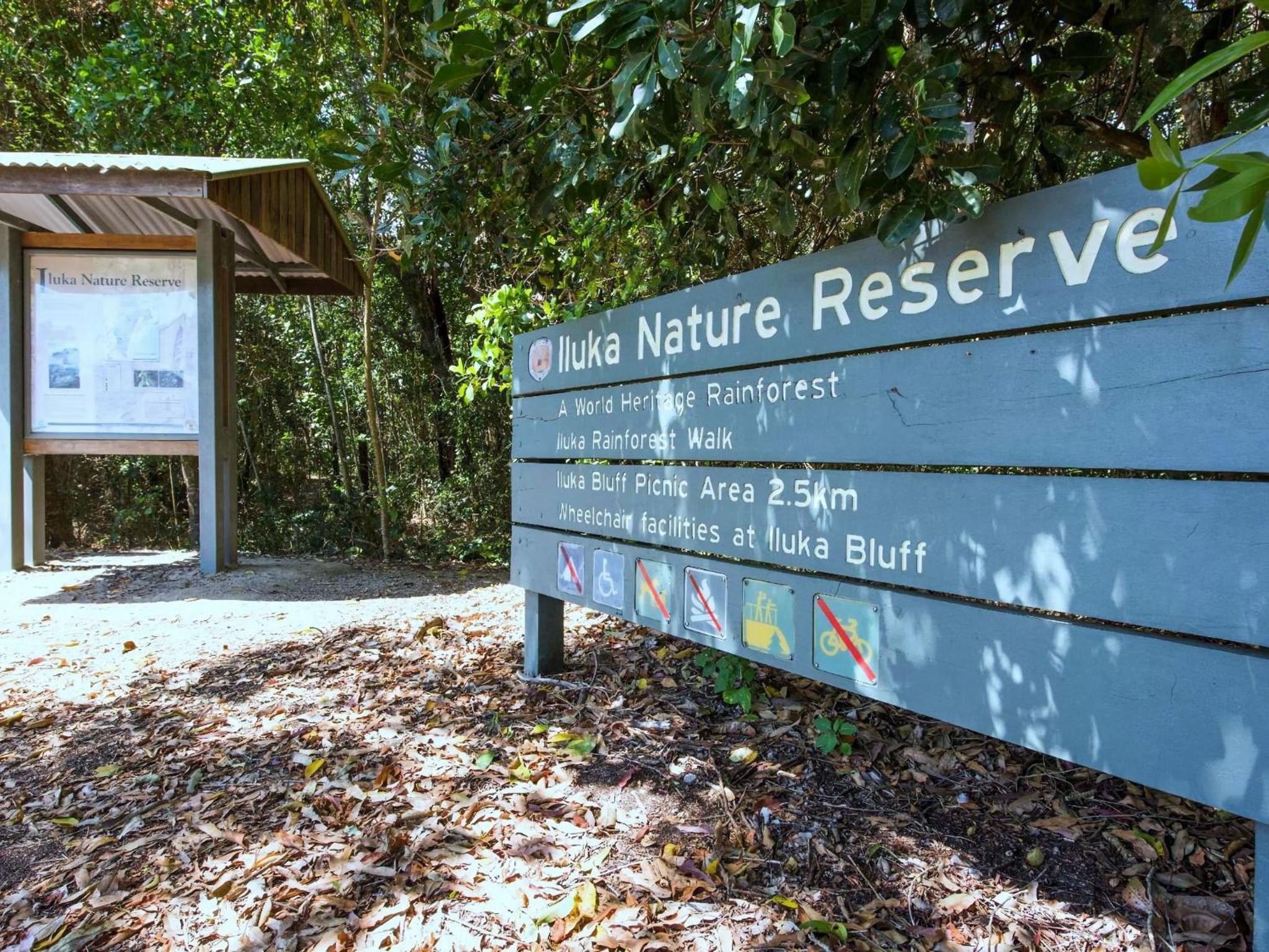 Rainforest Retreat
