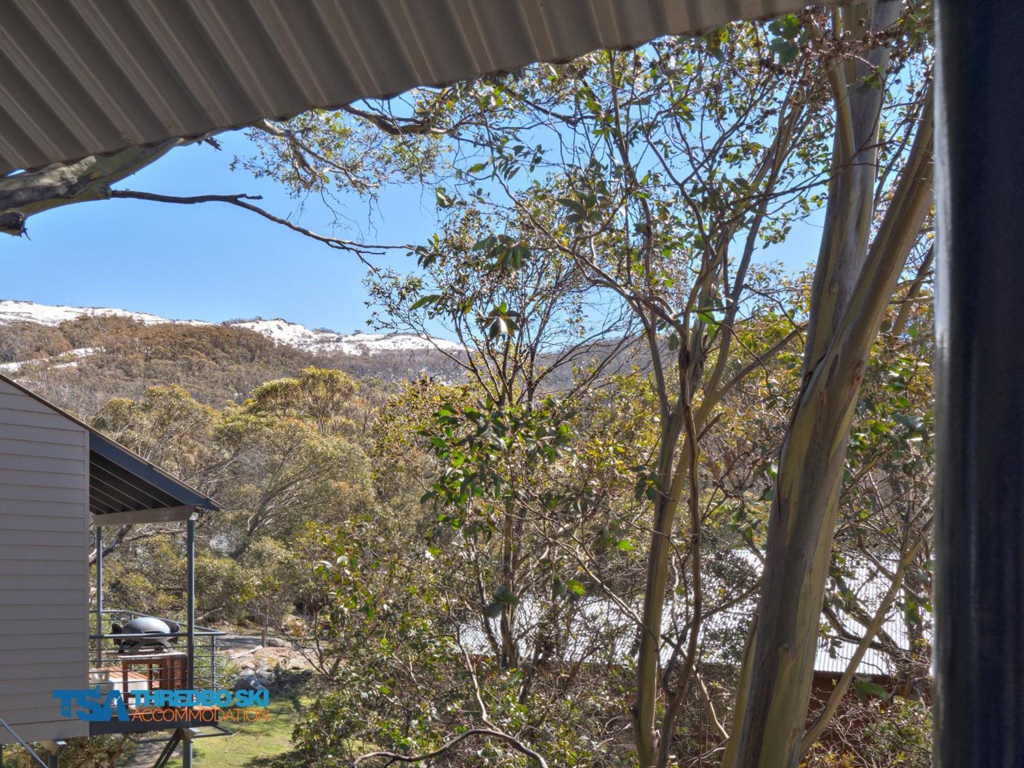 Mosswood 2 view 2
