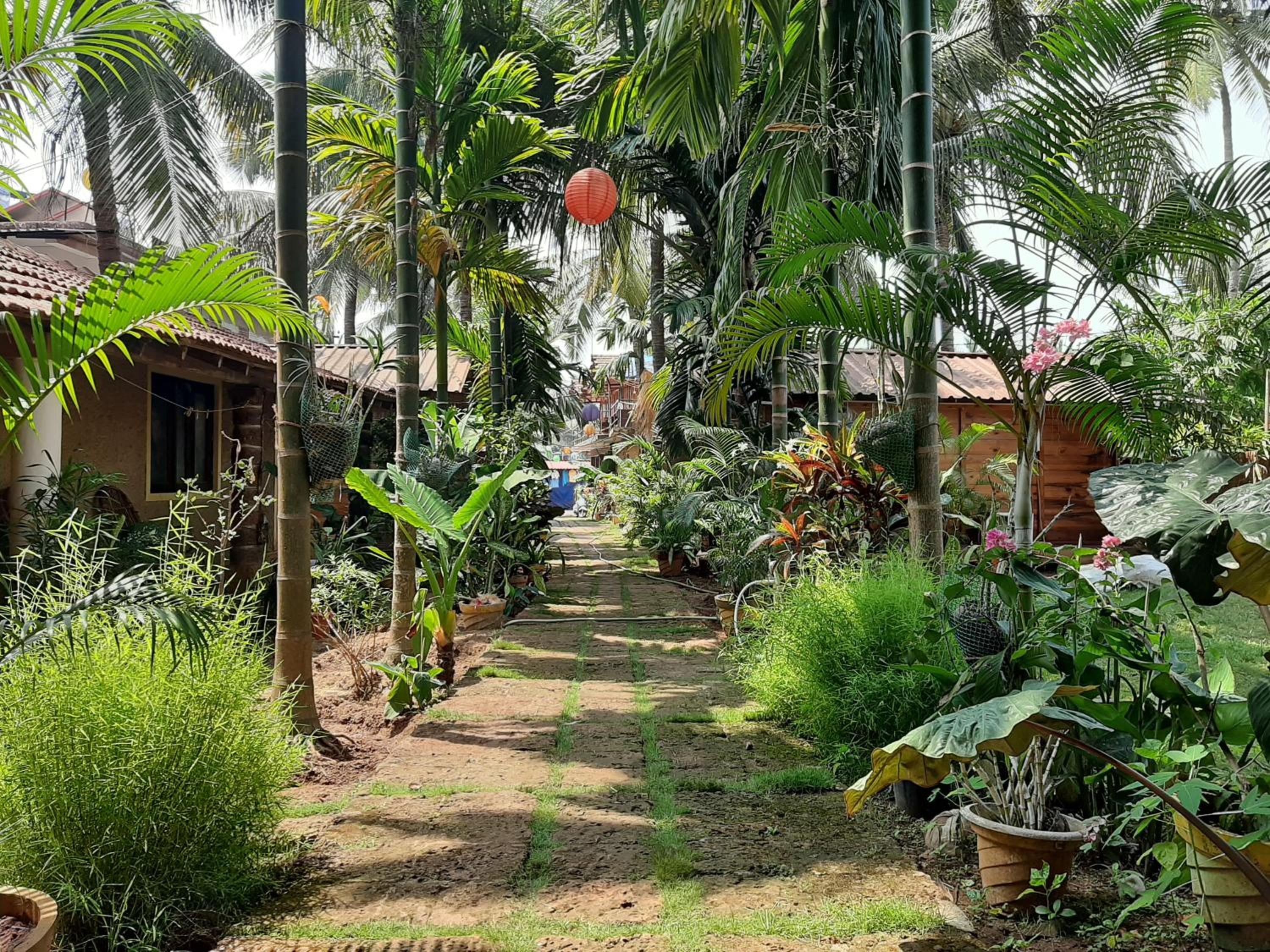 Agonda Holiday Home view 4