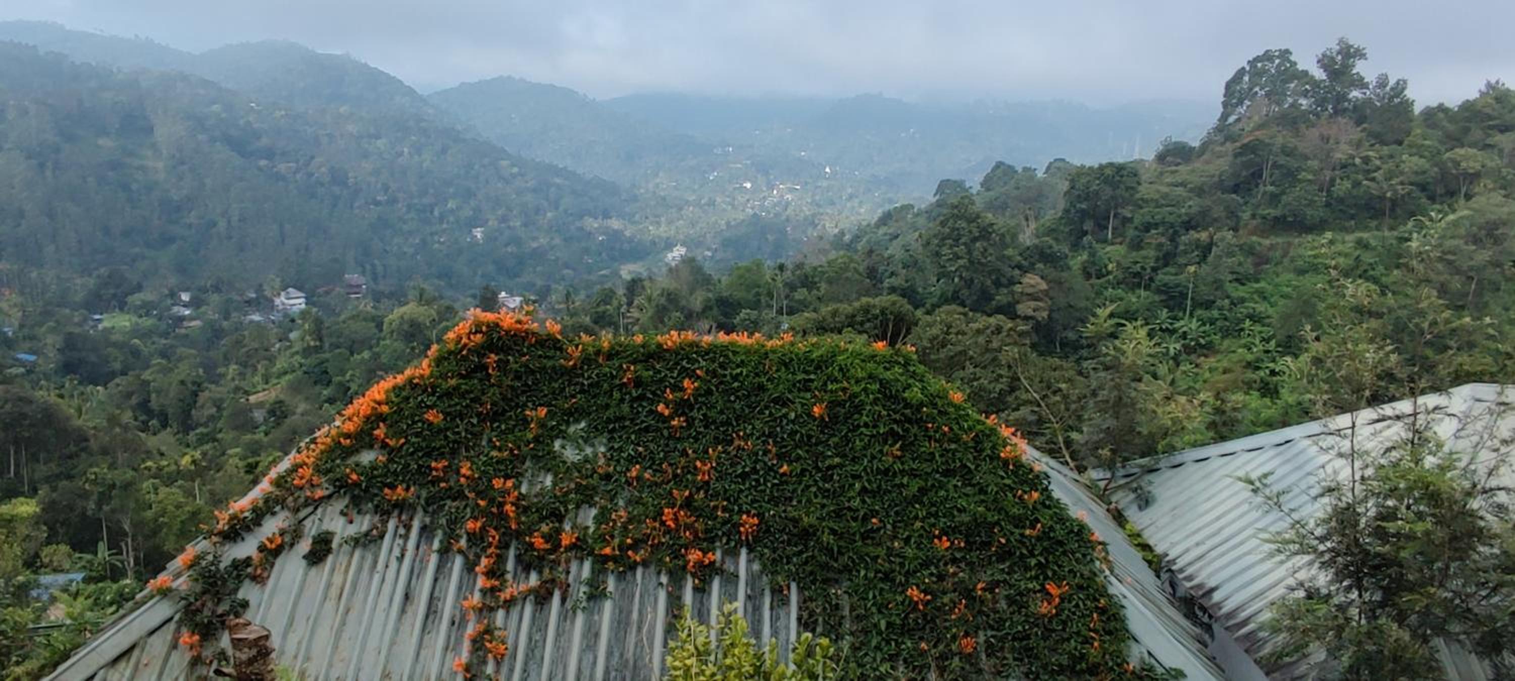 Munnar Tea Hills Resort - MTHR