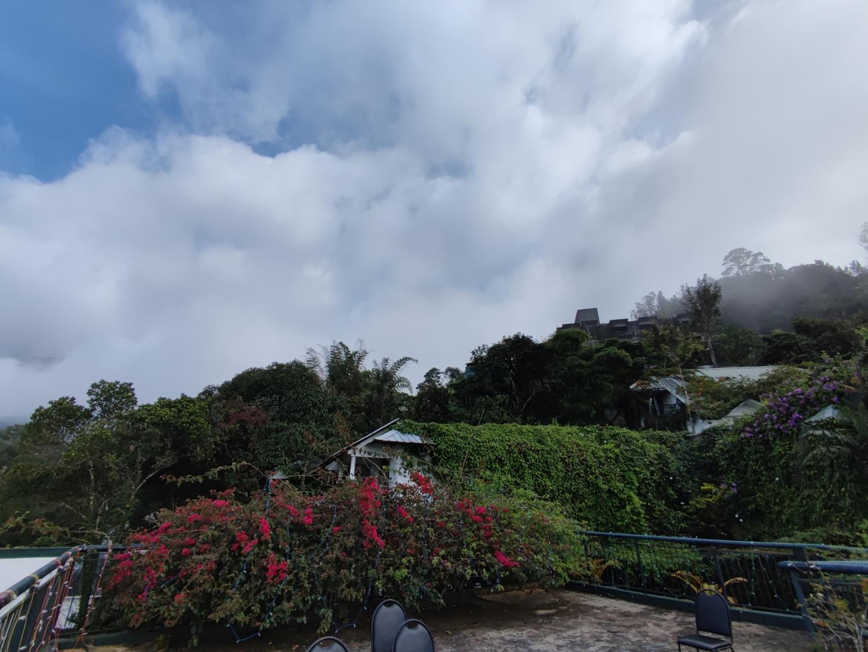 Munnar Tea Hills Resort - MTHR