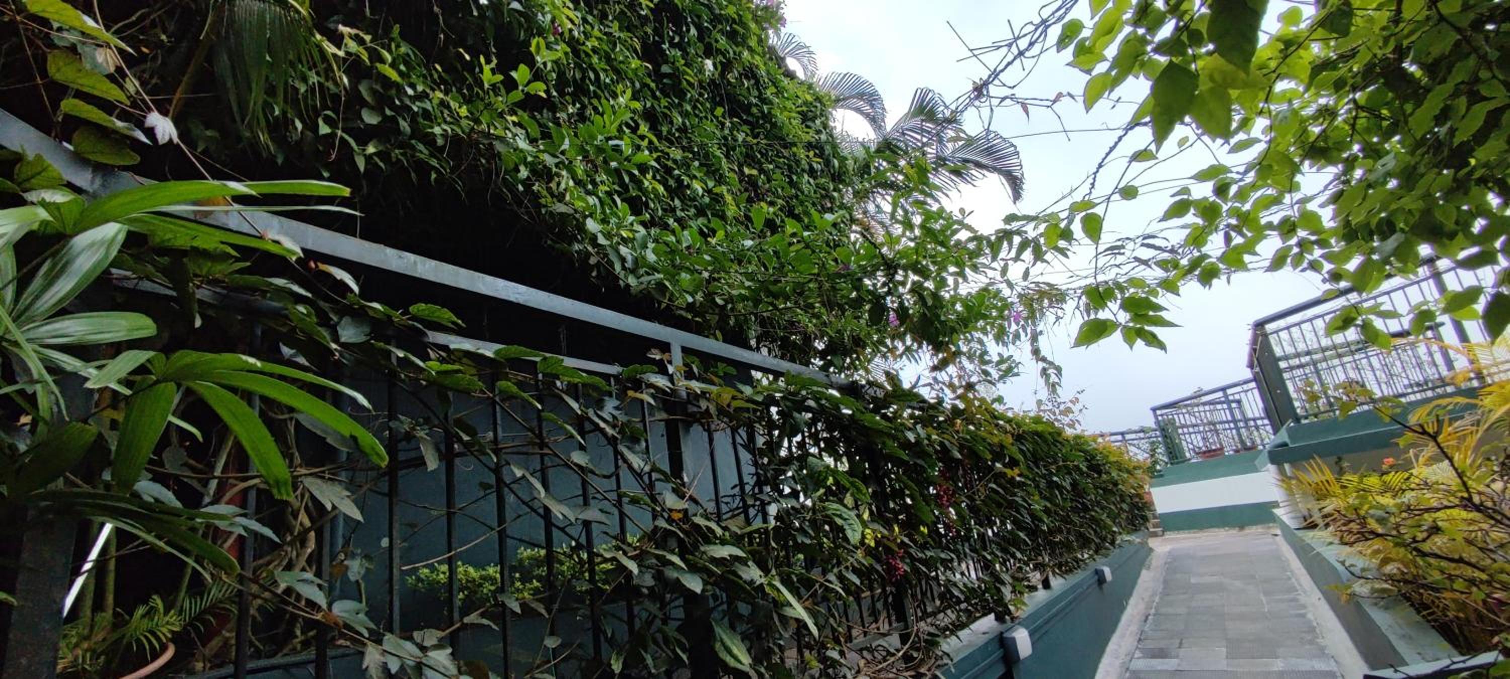 Munnar Tea Hills Resort - MTHR
