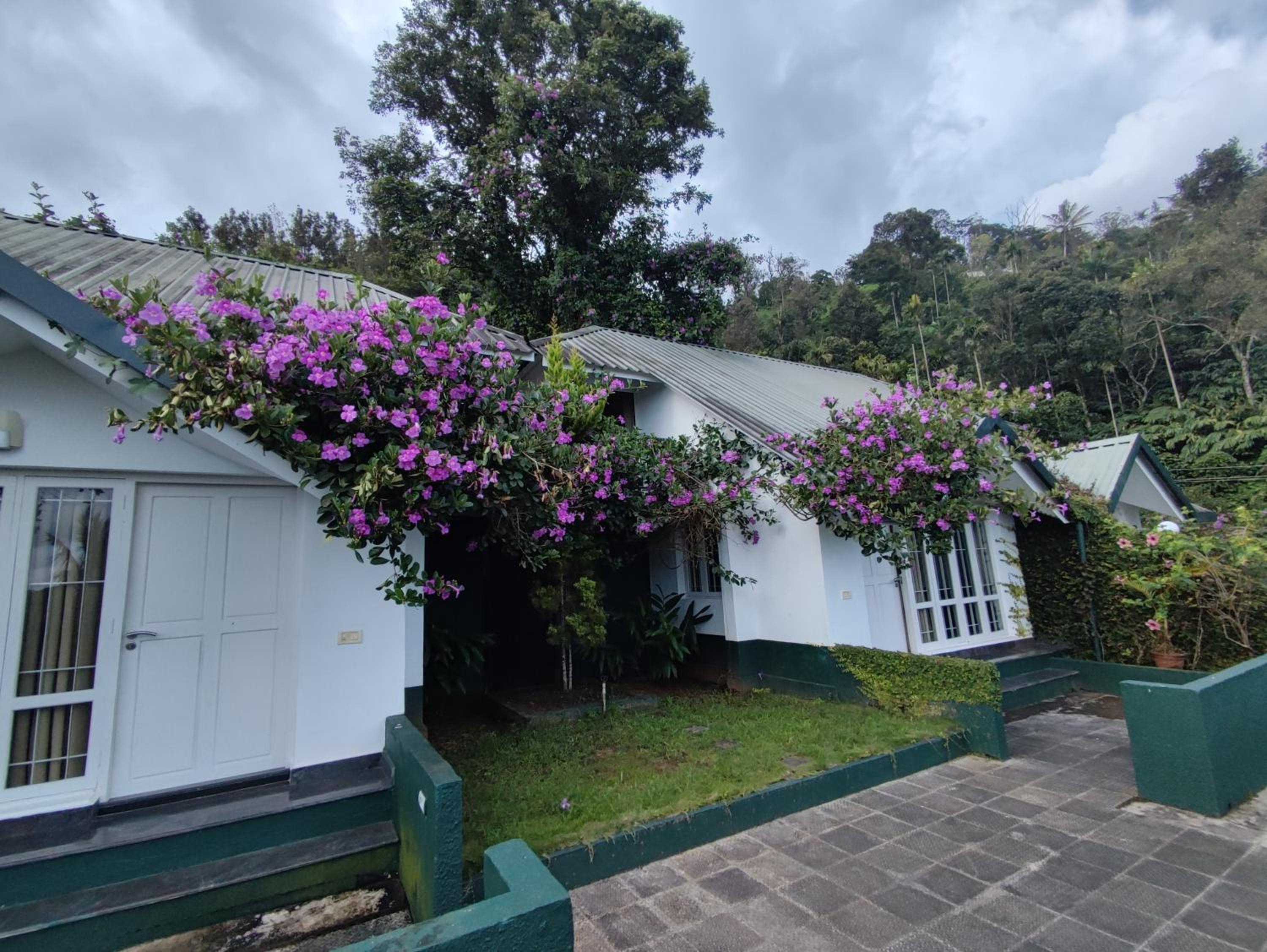 Munnar Tea Hills Resort - MTHR