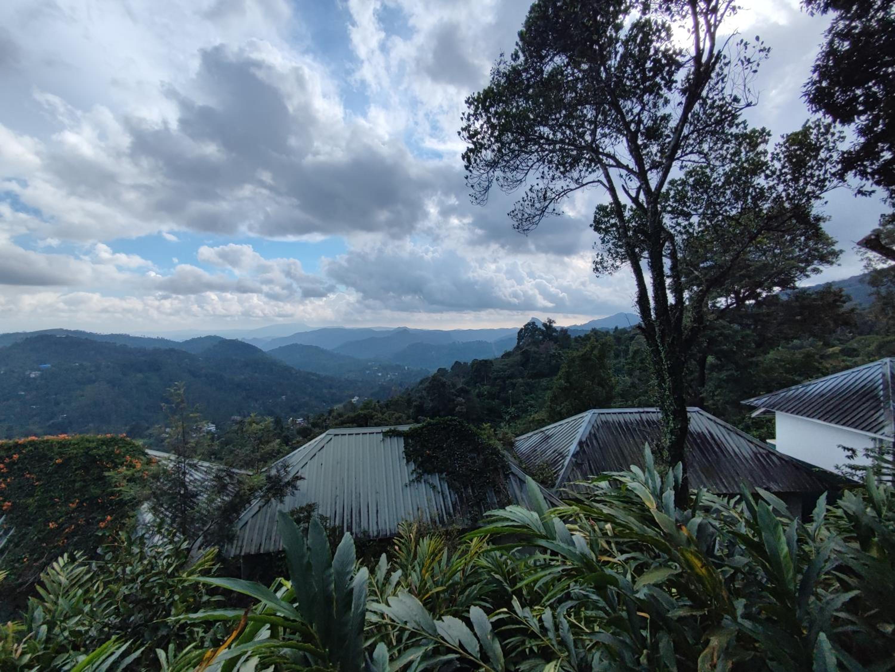 Munnar Tea Hills Resort - MTHR