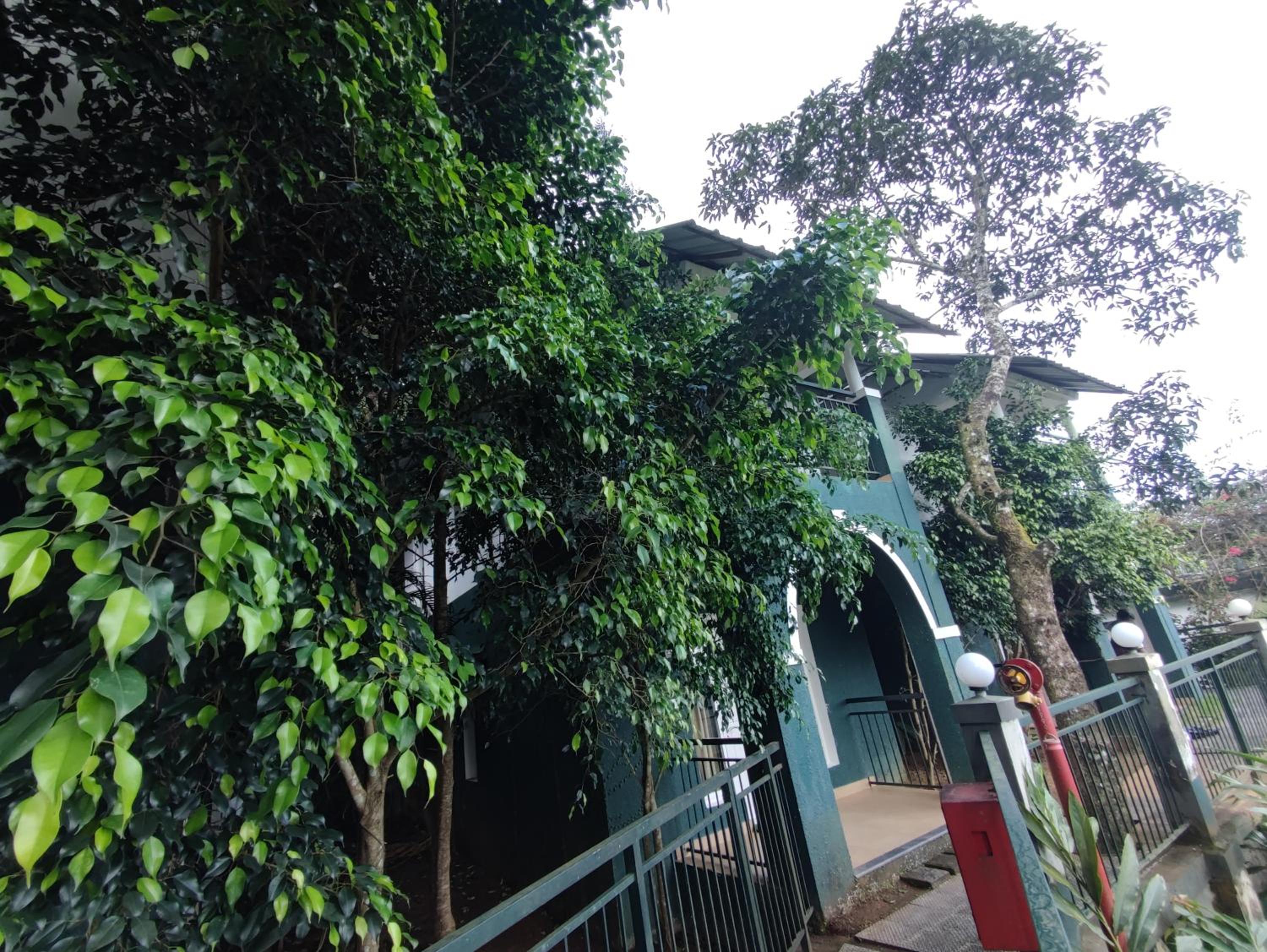Munnar Tea Hills Resort - MTHR