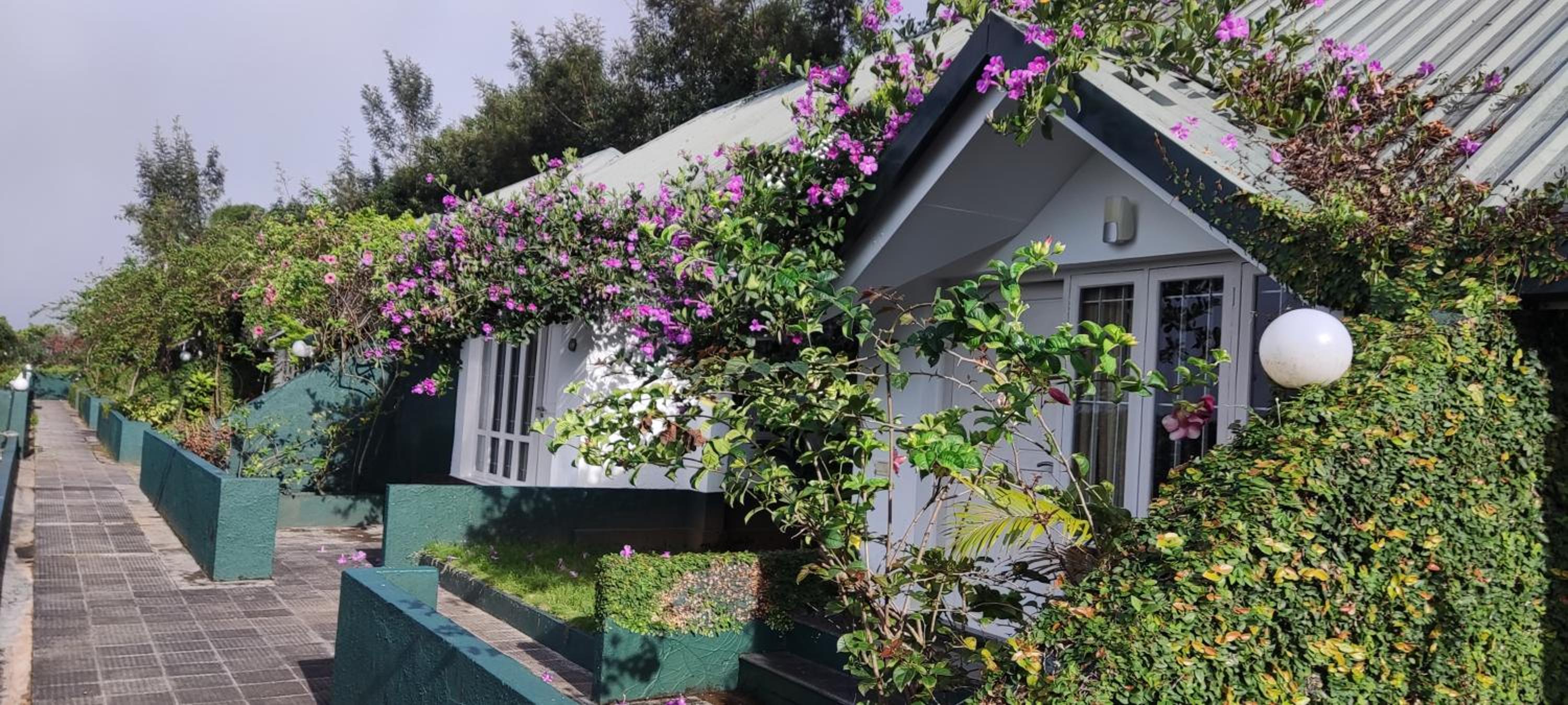 Munnar Tea Hills Resort - MTHR